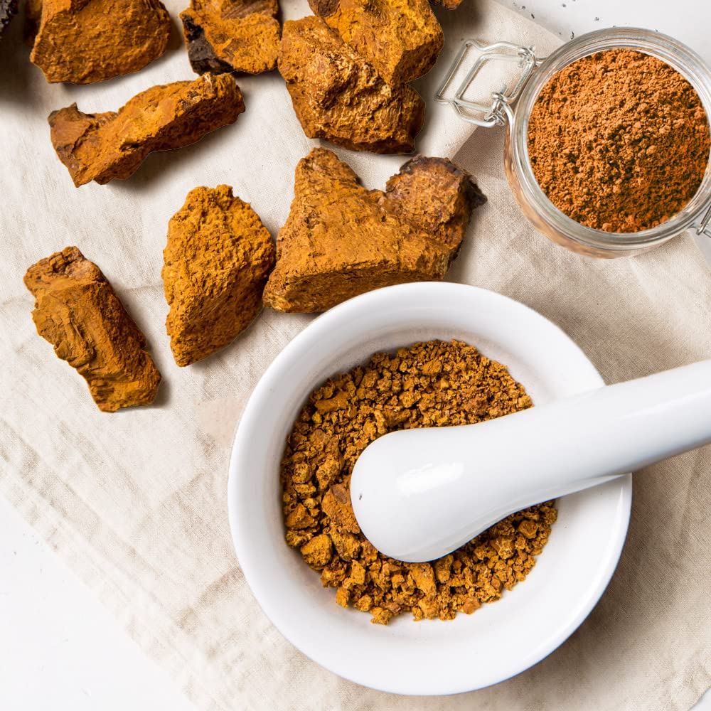 ONDAMGO Chaga Mushrooms Powder 7.05 Ounces