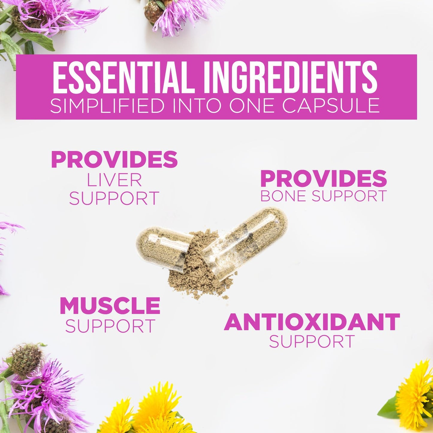 Health Nutrition Naturals Milk Thistle Supplement Capsules, 60 Capsules