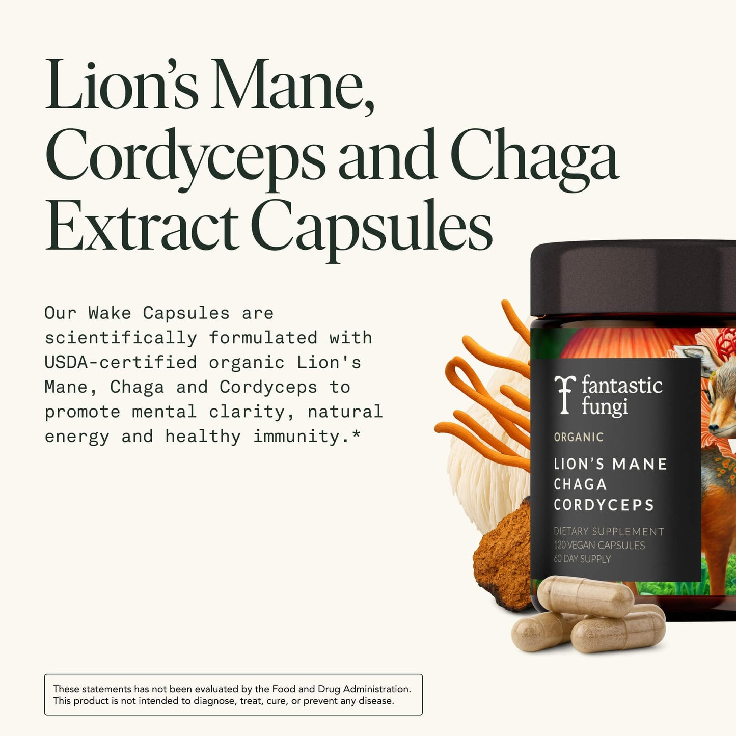 Fantastic Fungi Lions Mane, Cordyceps and Chaga Mushroom Blend Capsules 120 Capsules
