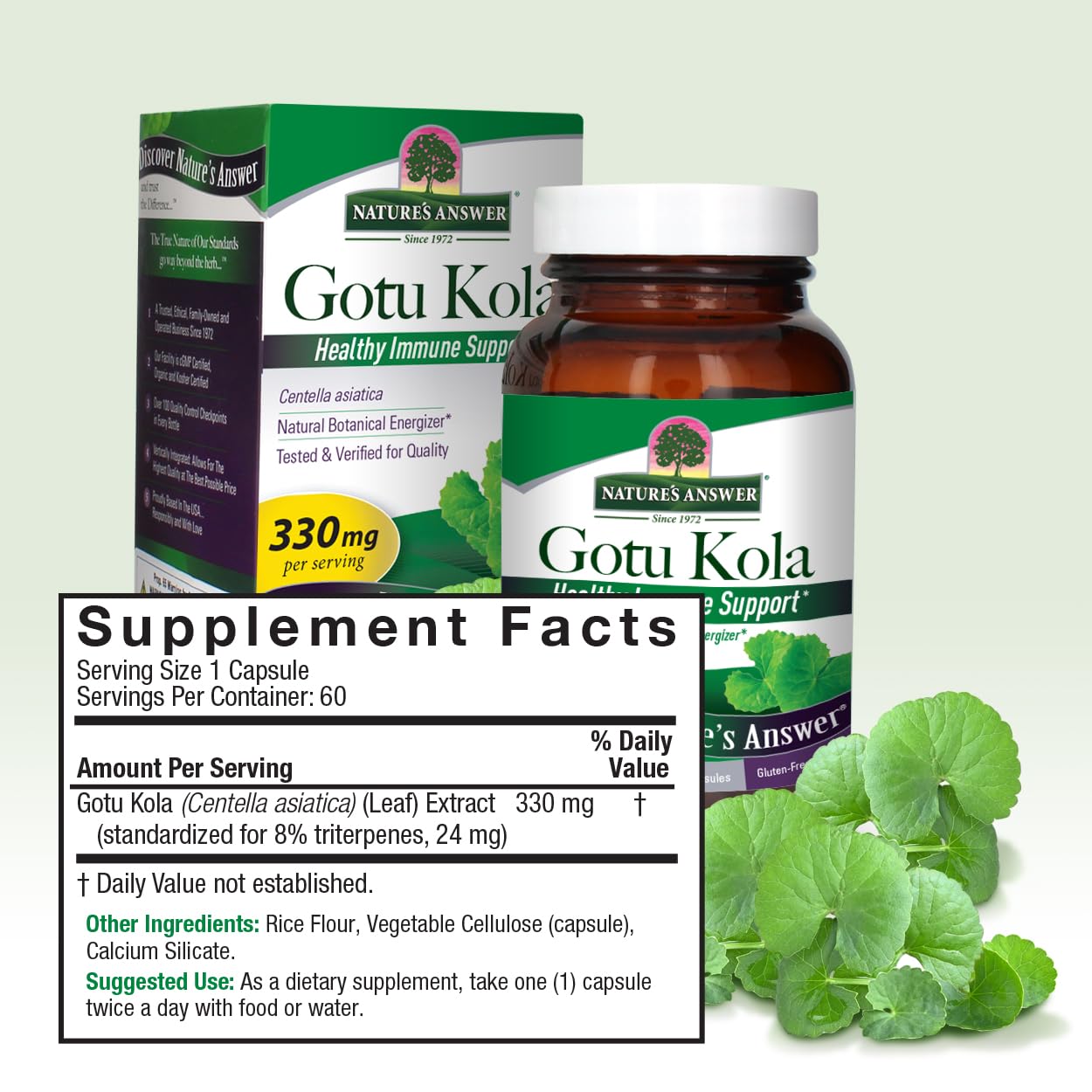Nature's Answer Gotu Kola Capsule 60 Count