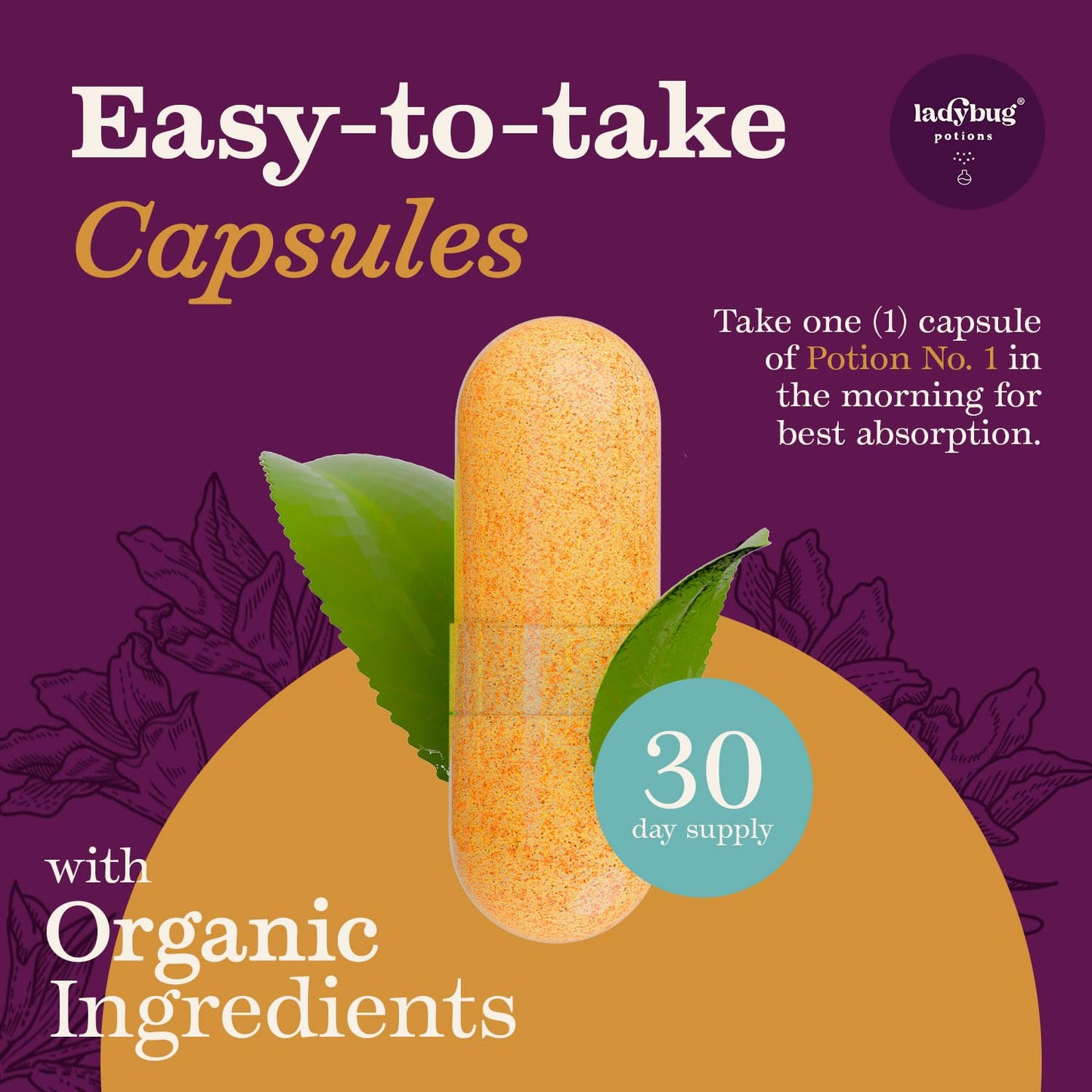 Ladybug Potions Organic Apple Cider Vinegar Capsules, 30 Count
