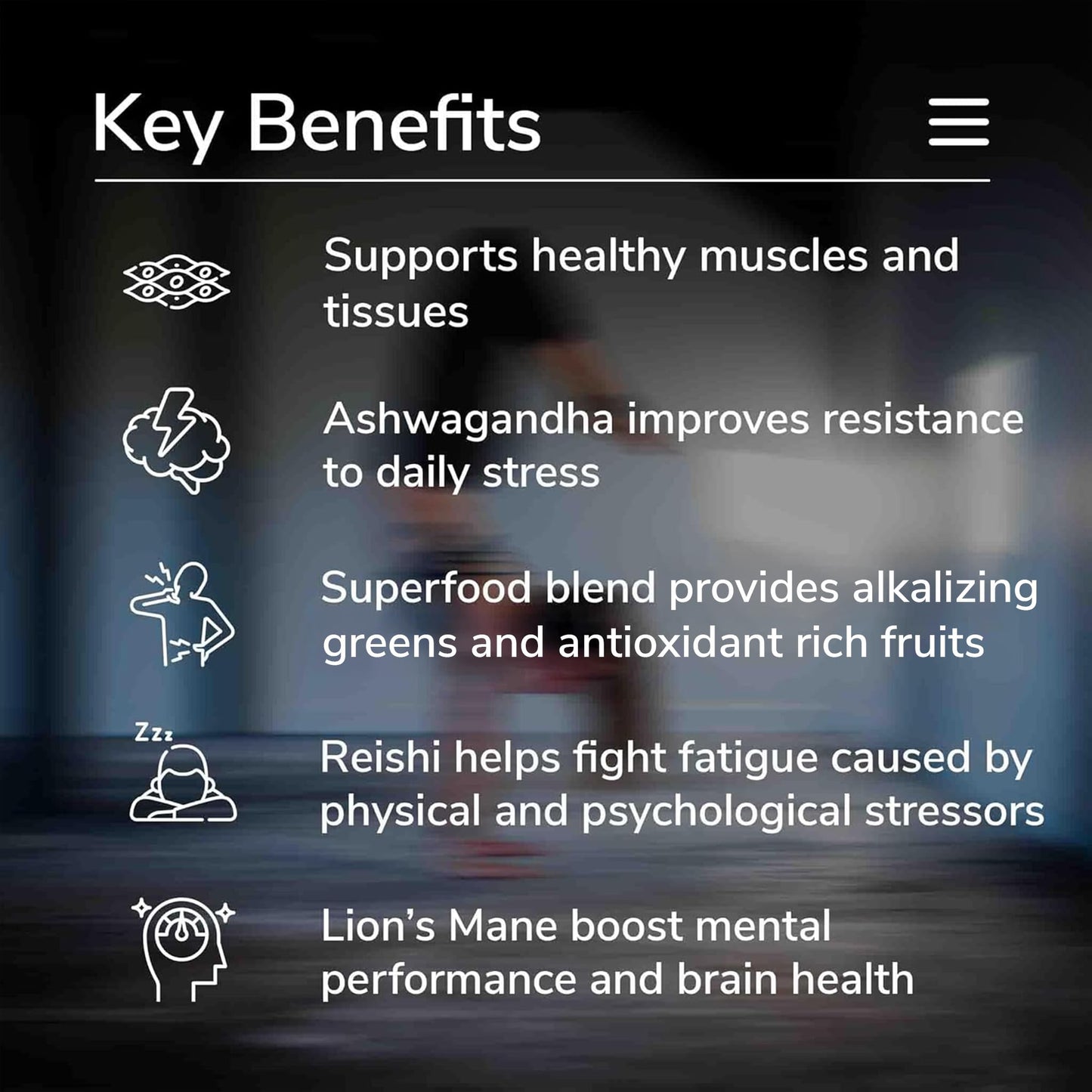 fitppl Plant Based Protein Powder with Superfoods, Ashwagandha, Reishi, Lions Mane, 20 Servings