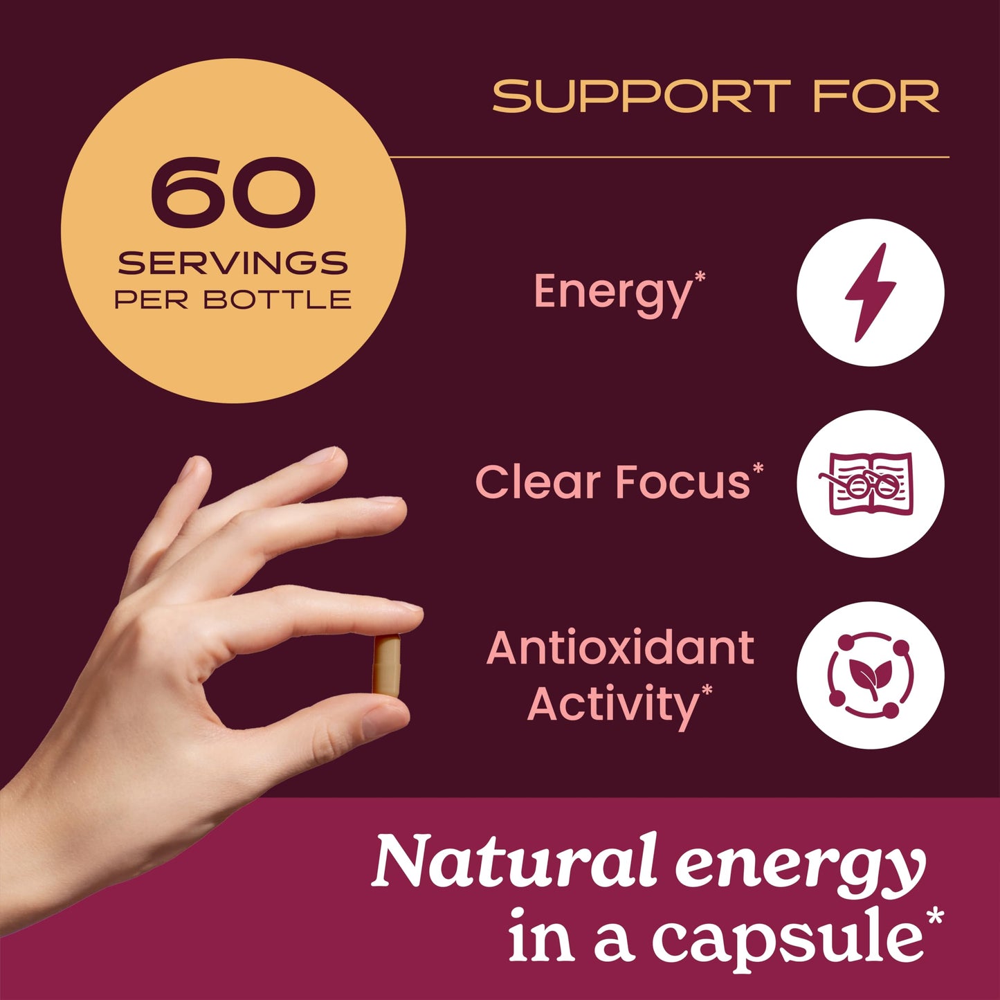 Herb Pharm Guayusa Capsules 60 Count