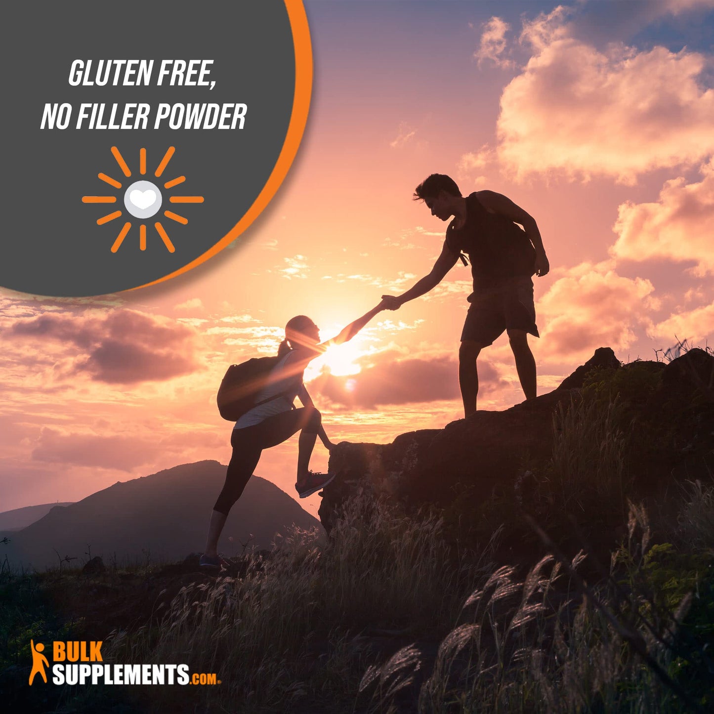 BulkSupplements Rosehip Extract Powder 176.19