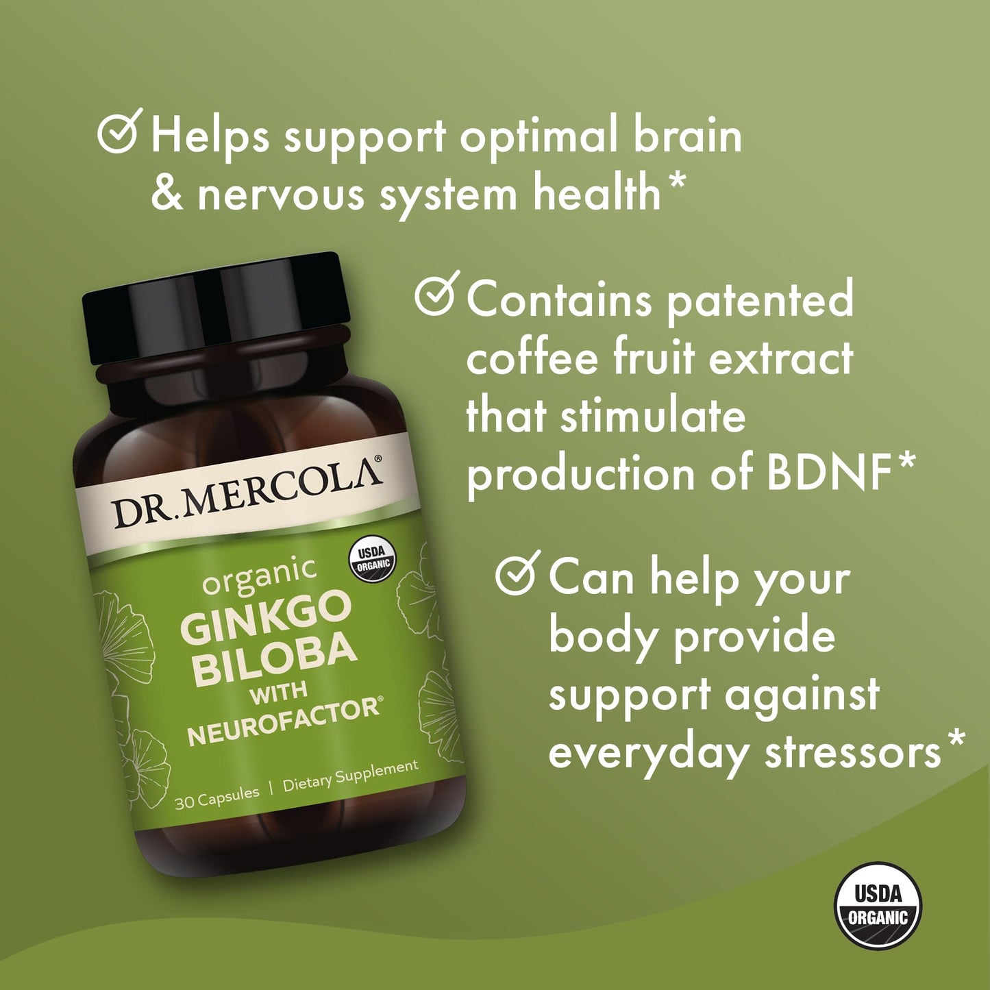 Dr. Mercola Organic Ginkgo Biloba with NeuroFactor Capsule, 30 Count