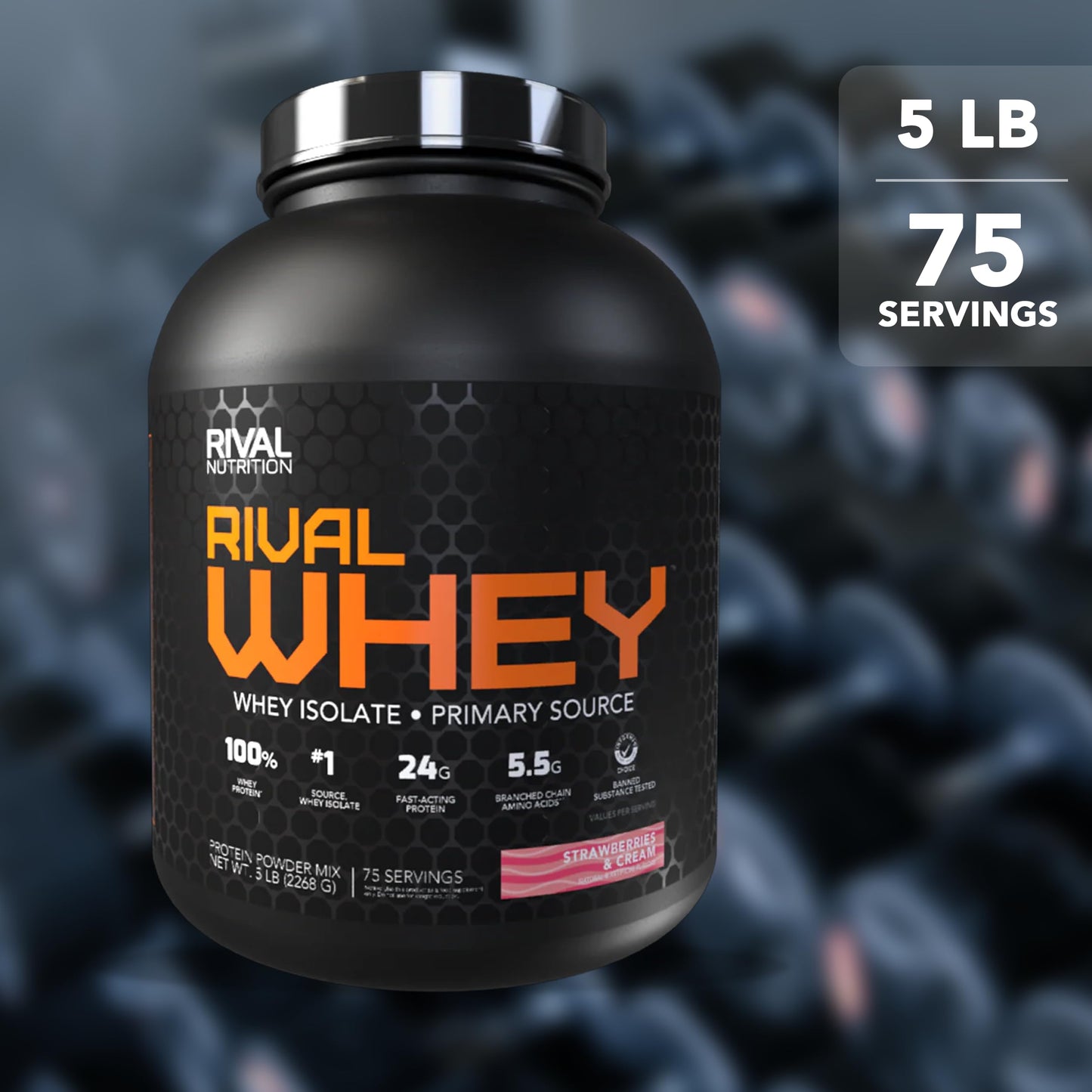 RIVAL NUTRITION Rival Whey Protein Powder Isolate, 80 Servings