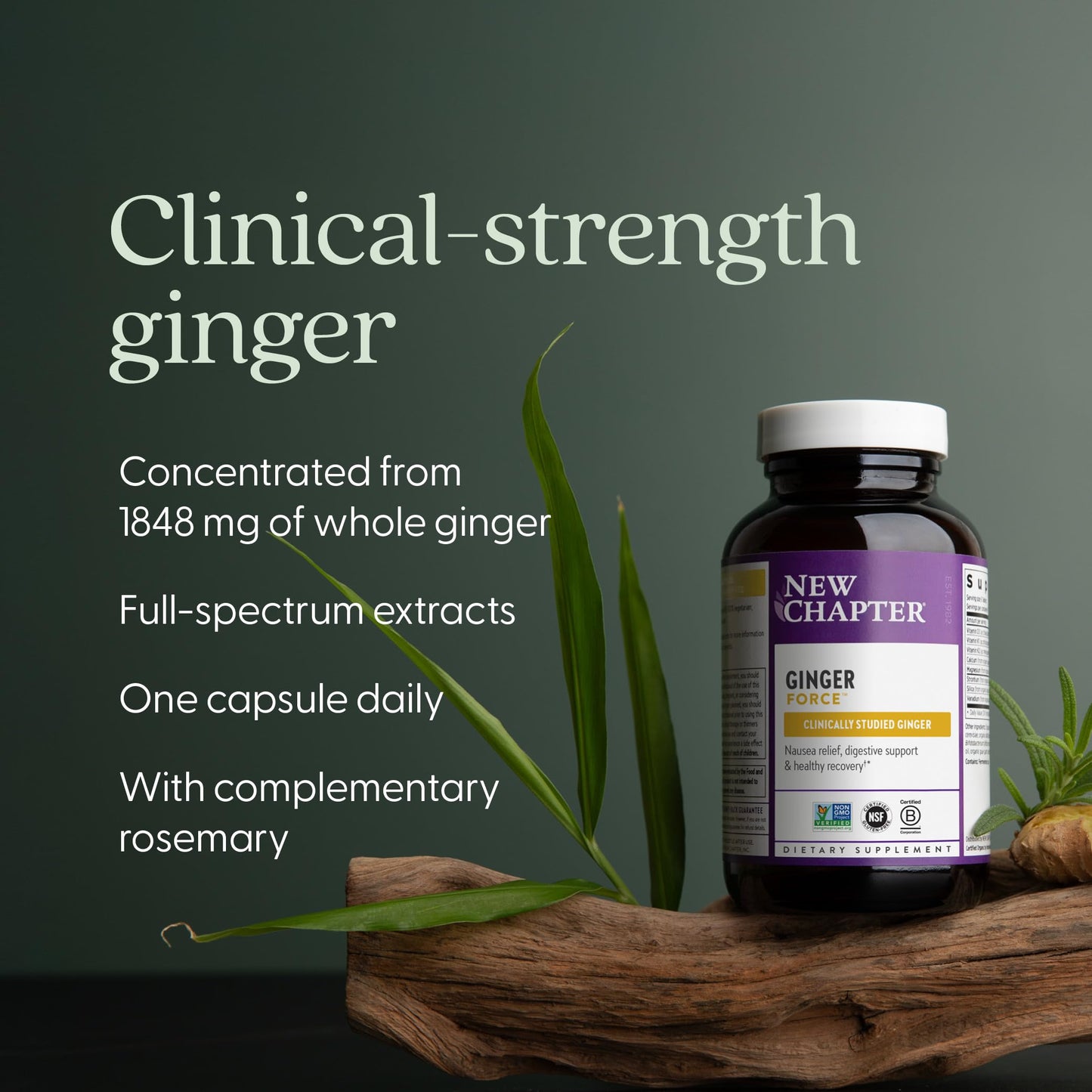 New Chapter Ginger Supplement Force with Supercritical Organic + Non-GMO Ingredients Capsules, 60 Count