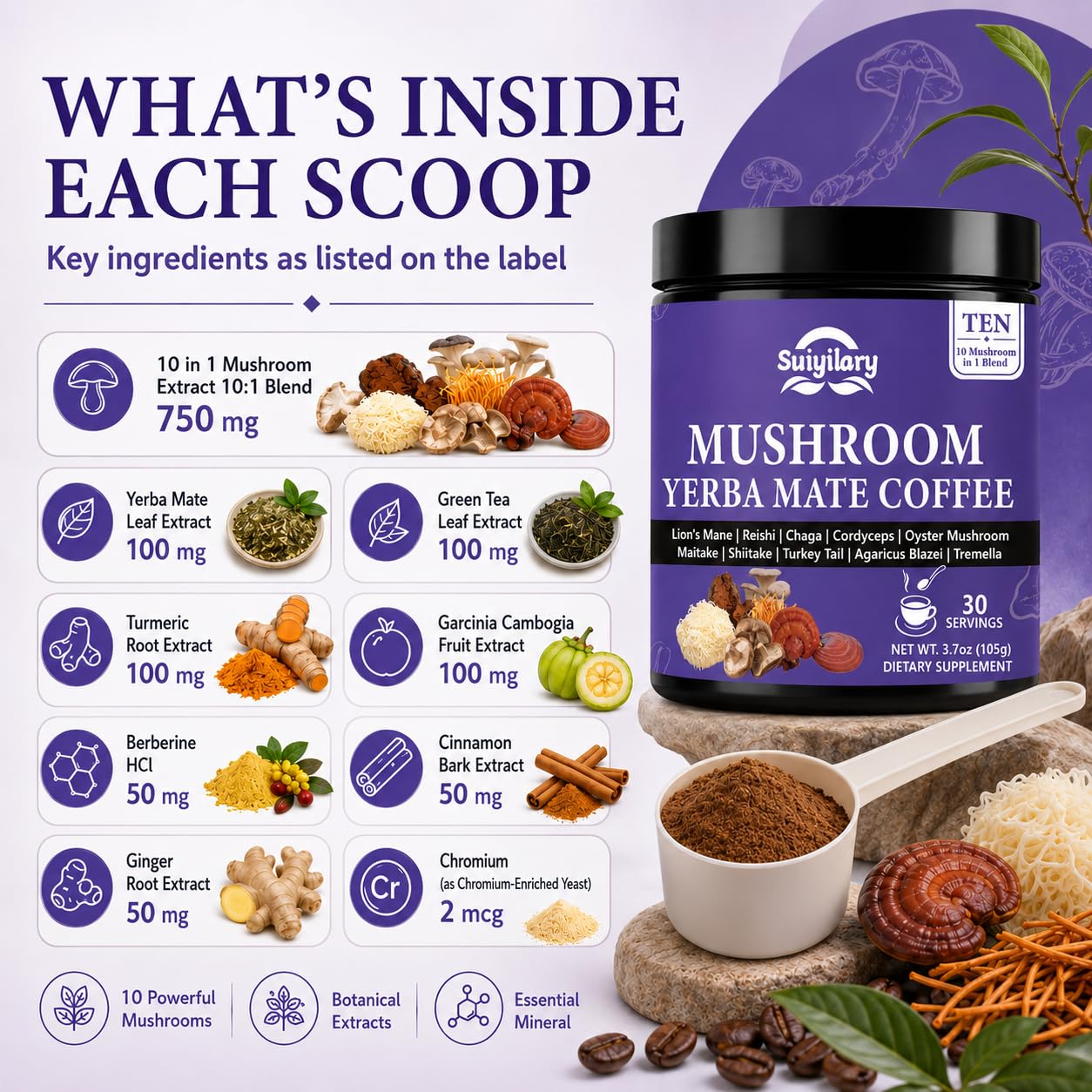 Suiyilary 10 Mushroom Coffee with Arabica, Lion's Mane, Yerba Mate Powder, 3.7 oz, 30 Servings