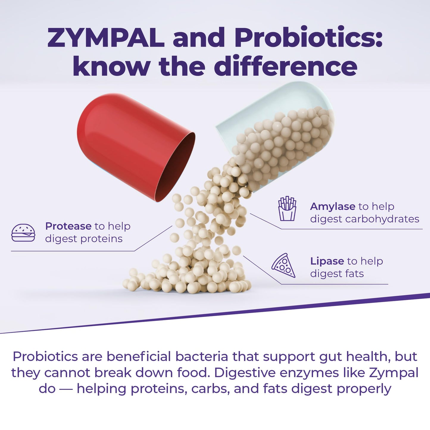 ZYMPAL Pancreatic Digestive Enzymes High-Potency Pancreatic Digestive Enzyme Supplement 10,000 Lipase USP Units Capsules 50