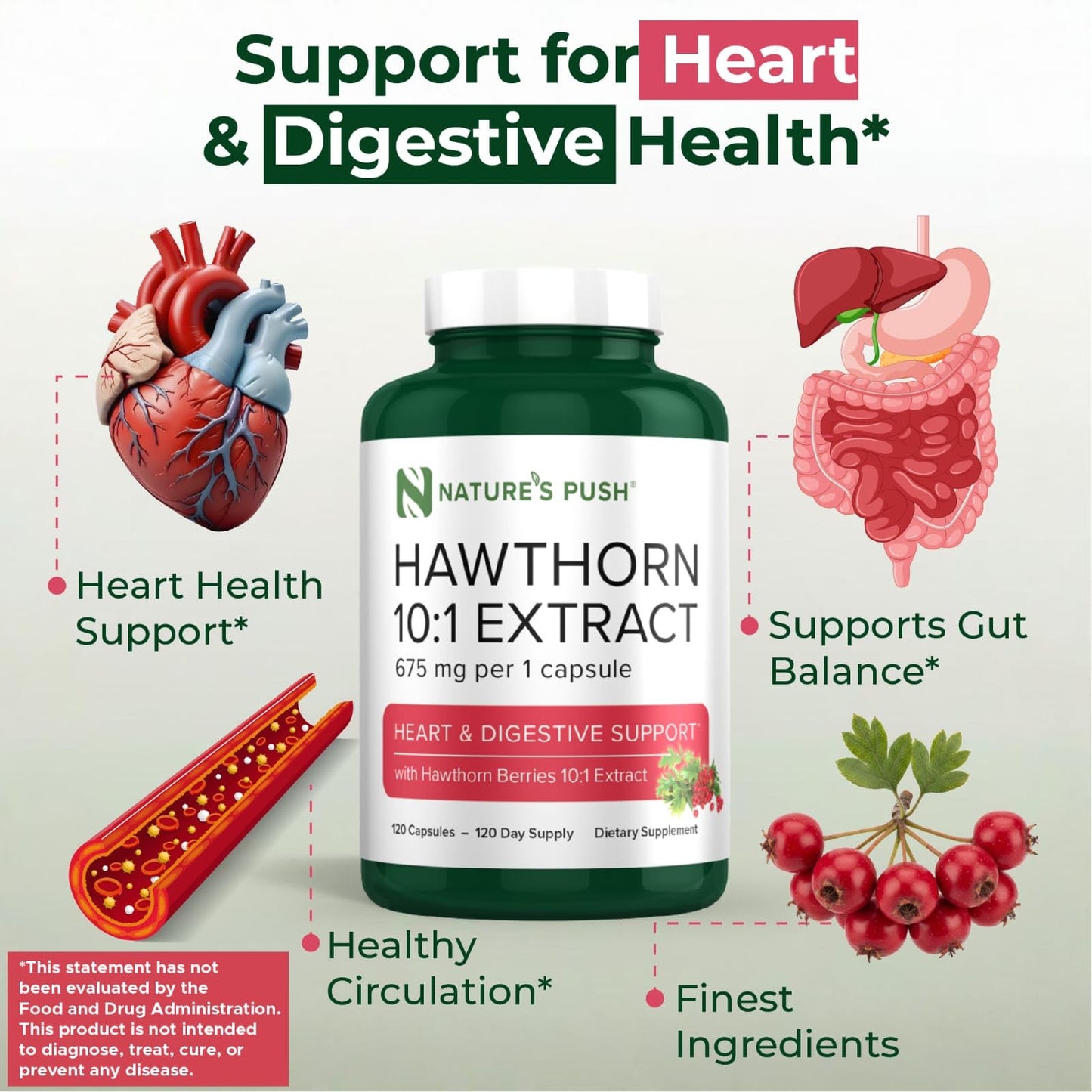 Nature's Push Hawthorn Berry 10:1 Extract 675mg Capsules, 60 Count