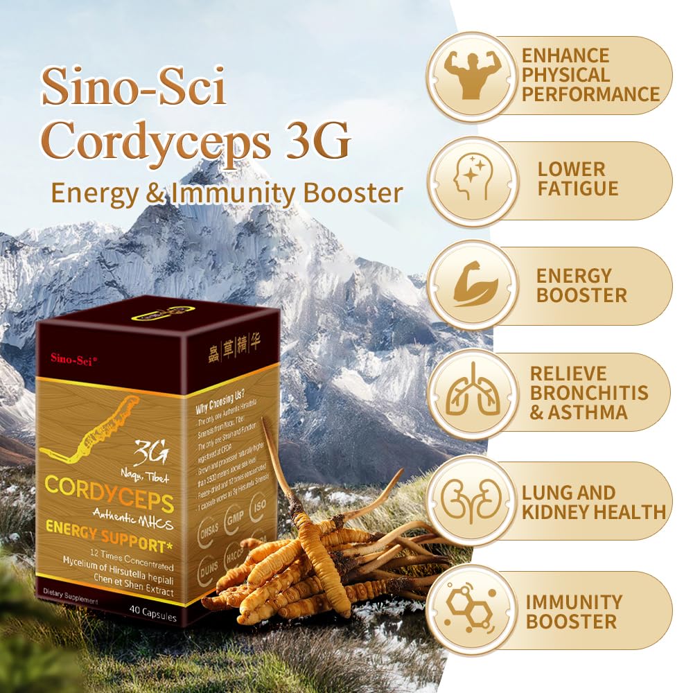 Sino-Sci Cordyceps 3G Capsule, Energy Booster & Immune Support, Pure Cordyceps 12X Extract, 40 Capsules