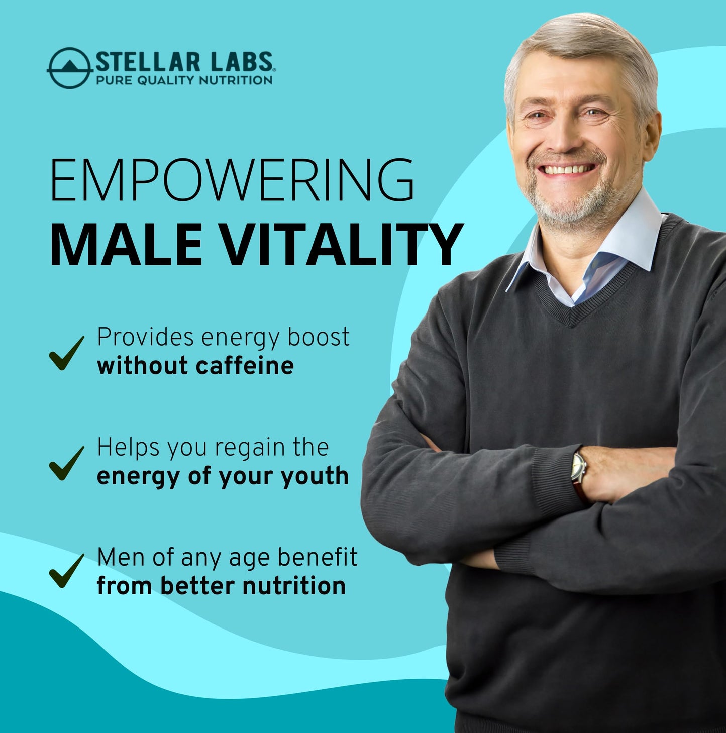 Stellar Labs Men's Low FODMAP Vegan Daily Multivitamin No Iron Capsule, 1 Count