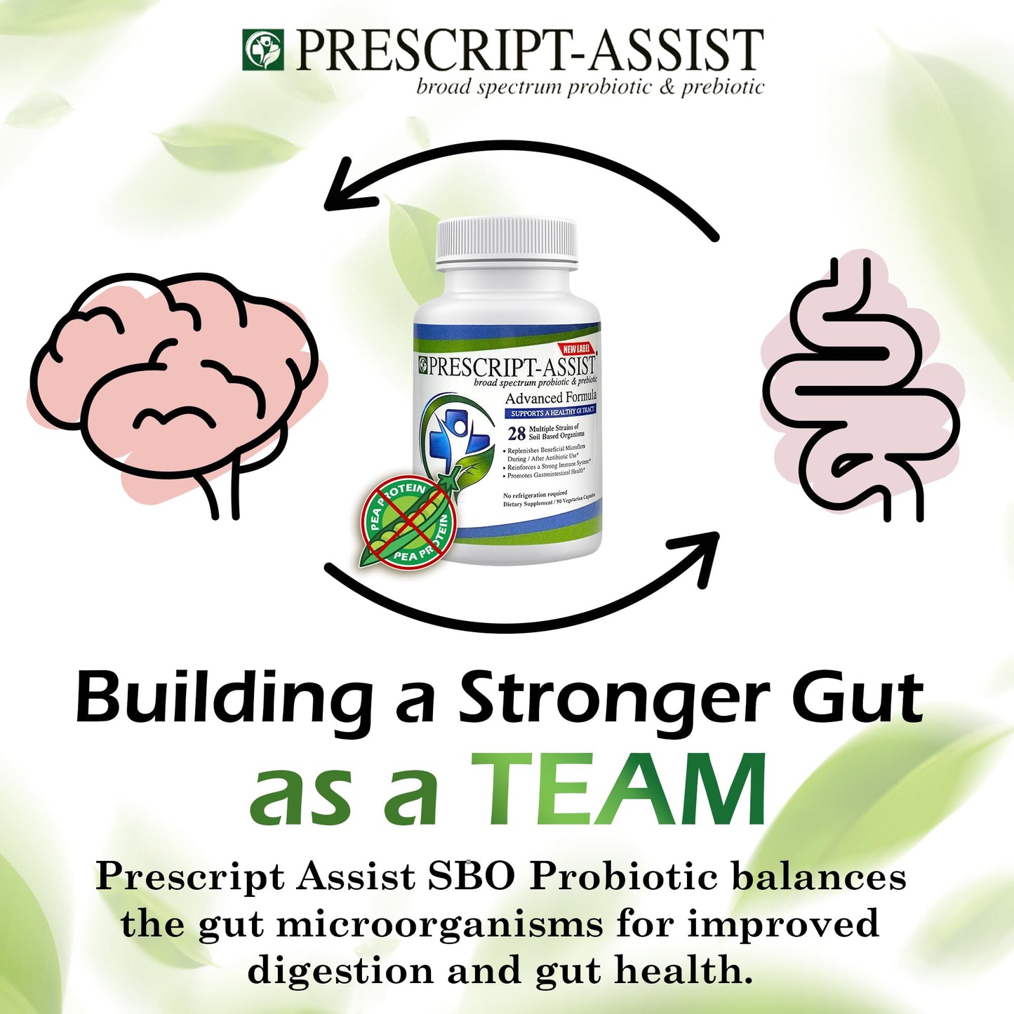 Prescript-Assist Prebiotics & Probiotics for Digestive & Immune Health with No Pea Protein for Quick Absorption - Advanced Plant-Based, Vegan, 90 Capsules