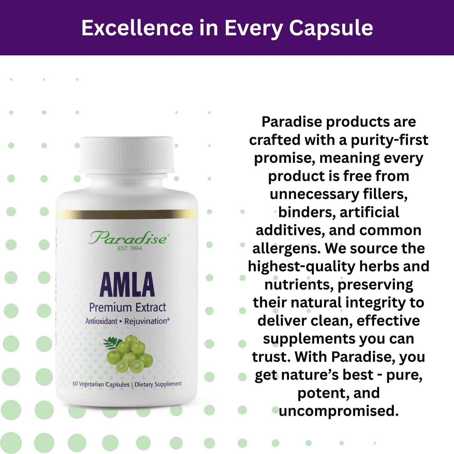 Paradise Herbs Amla 250 mg Organic Whole Spectrum Vitamin C Capsule 60