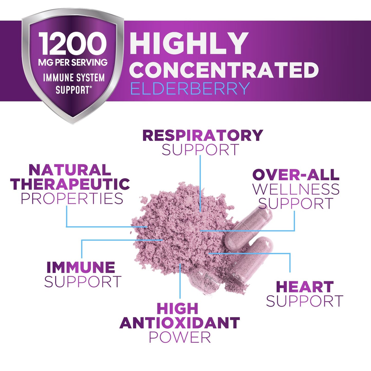 Nature's Nutrition European Elderberry Fruit Extract 1200mg Per Serving Capsules, 120 Capsules