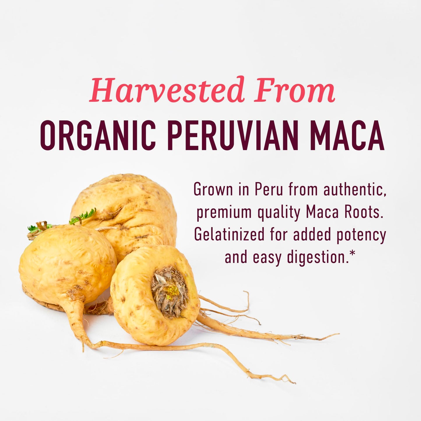 SMNutrition Organic Maca Root 120 Capsules