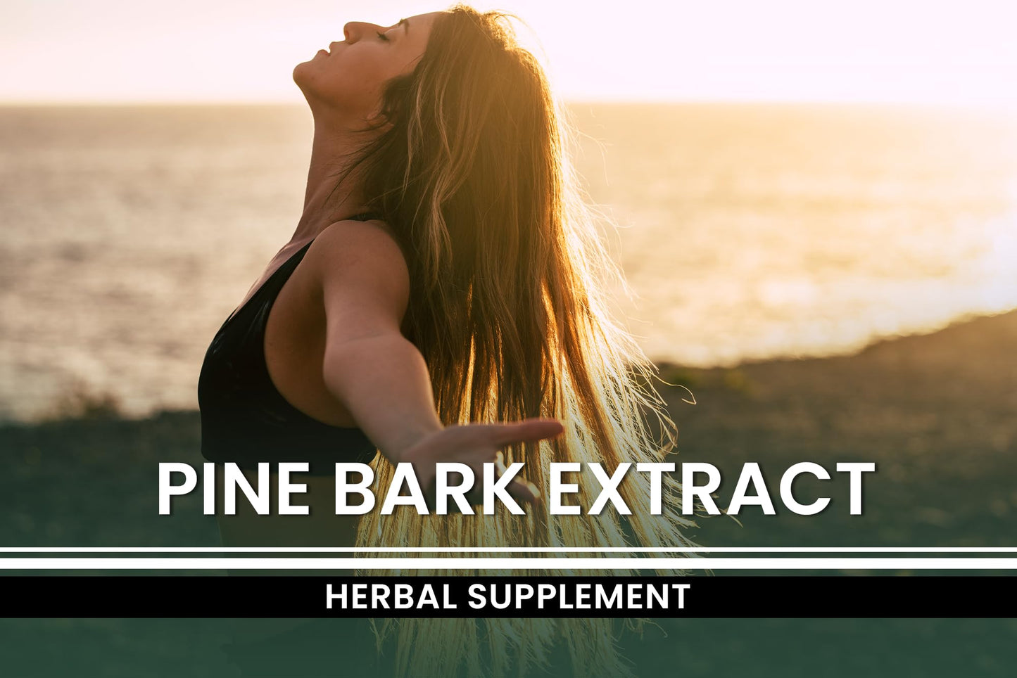 PURE ORIGINAL INGREDIENTS Pine Bark Extract Capsules 730