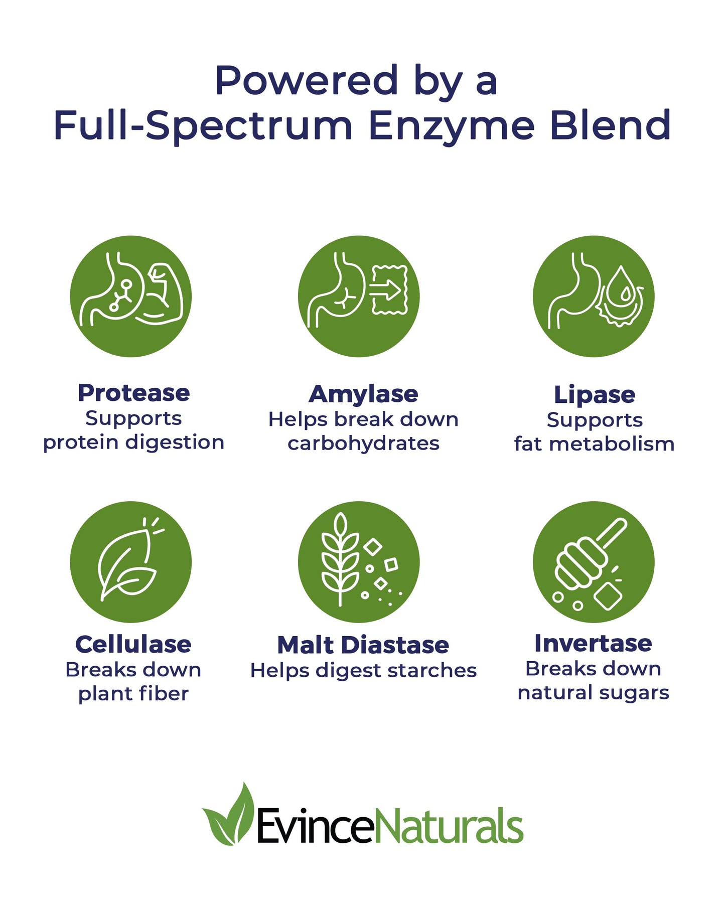 EvinceNaturals DigestPlus Digestive Enzymes Capsules, 180 Capsules