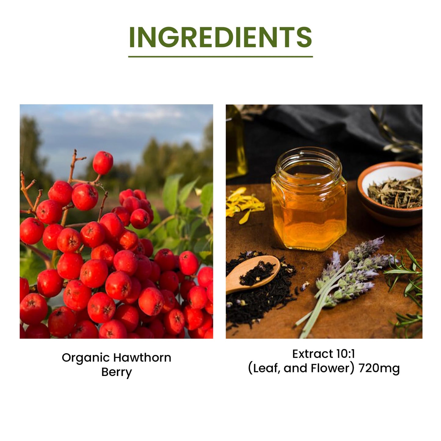 Green Organic Supplements Hawthorn Berry Capsules 90 Capsules