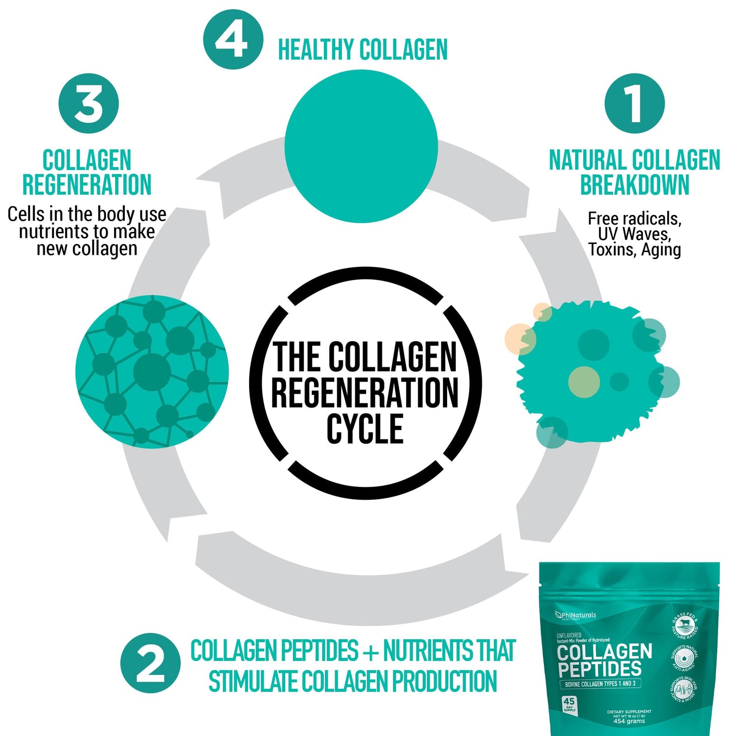 PhiNaturals Hydrolyzed Collagen Powder Supplement, 16 oz