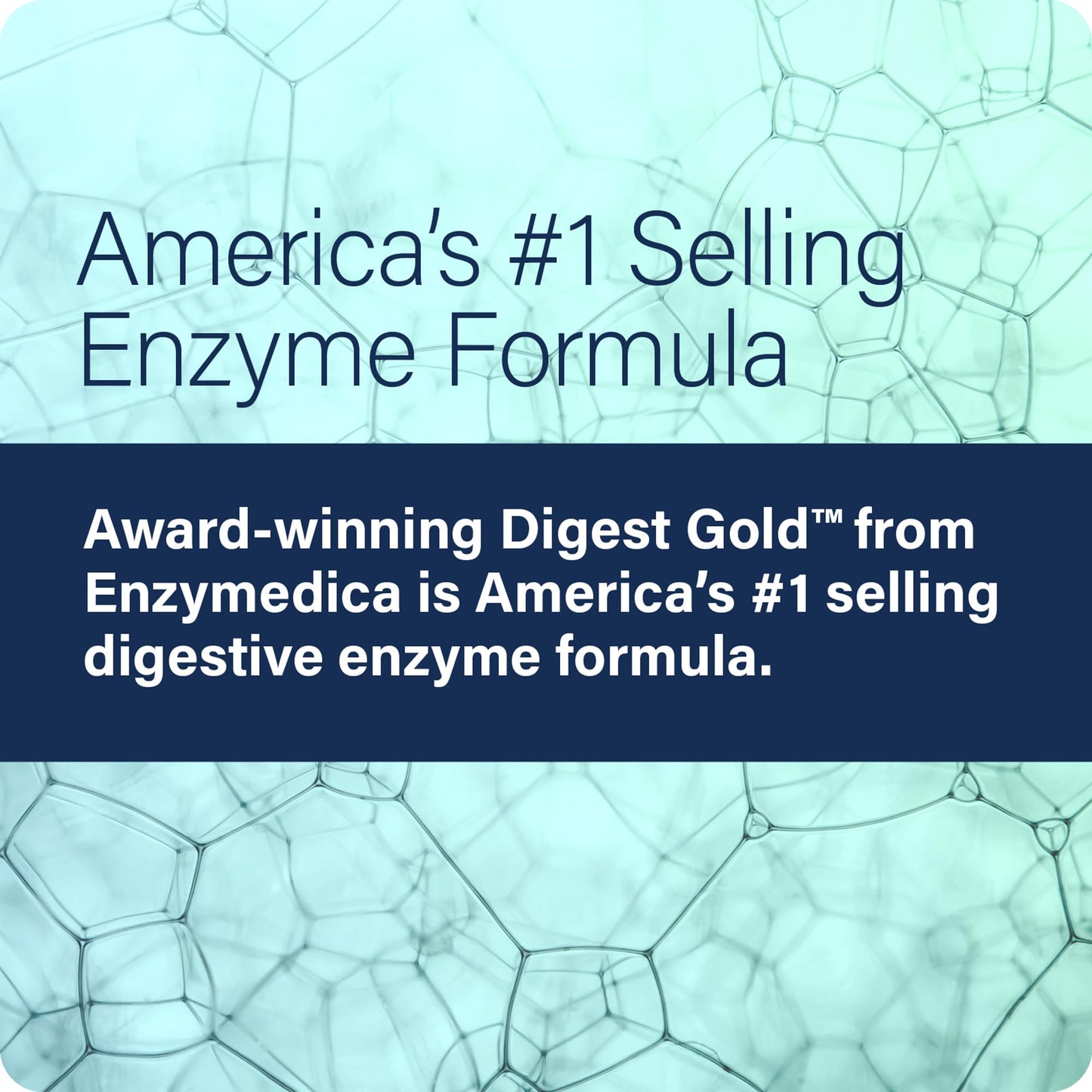 Enzyme Science Digest Gold Capsule 240 Capsules