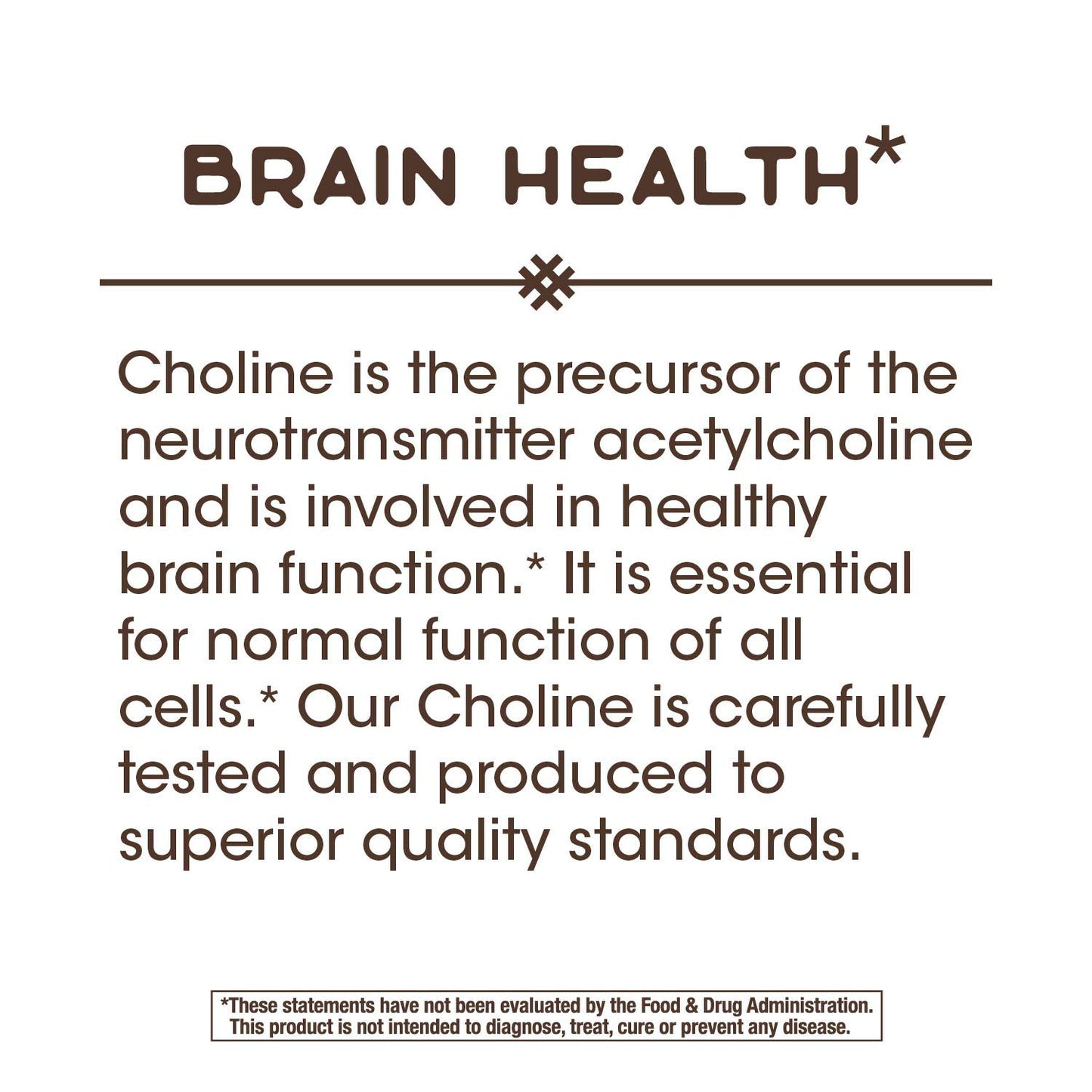 Nature's Way Choline 500 mg per serving Tablets, 200 Tablets