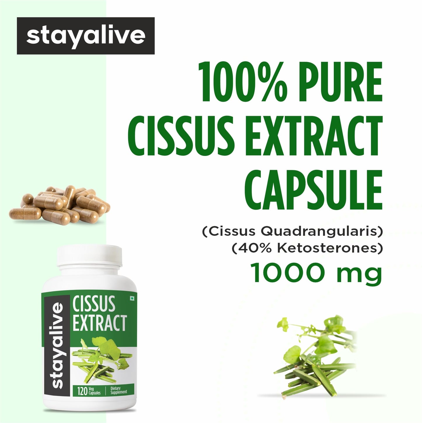STAY ALIVE Cissus Quadrangularis Supplement 1000mg Capsule, 120 Count