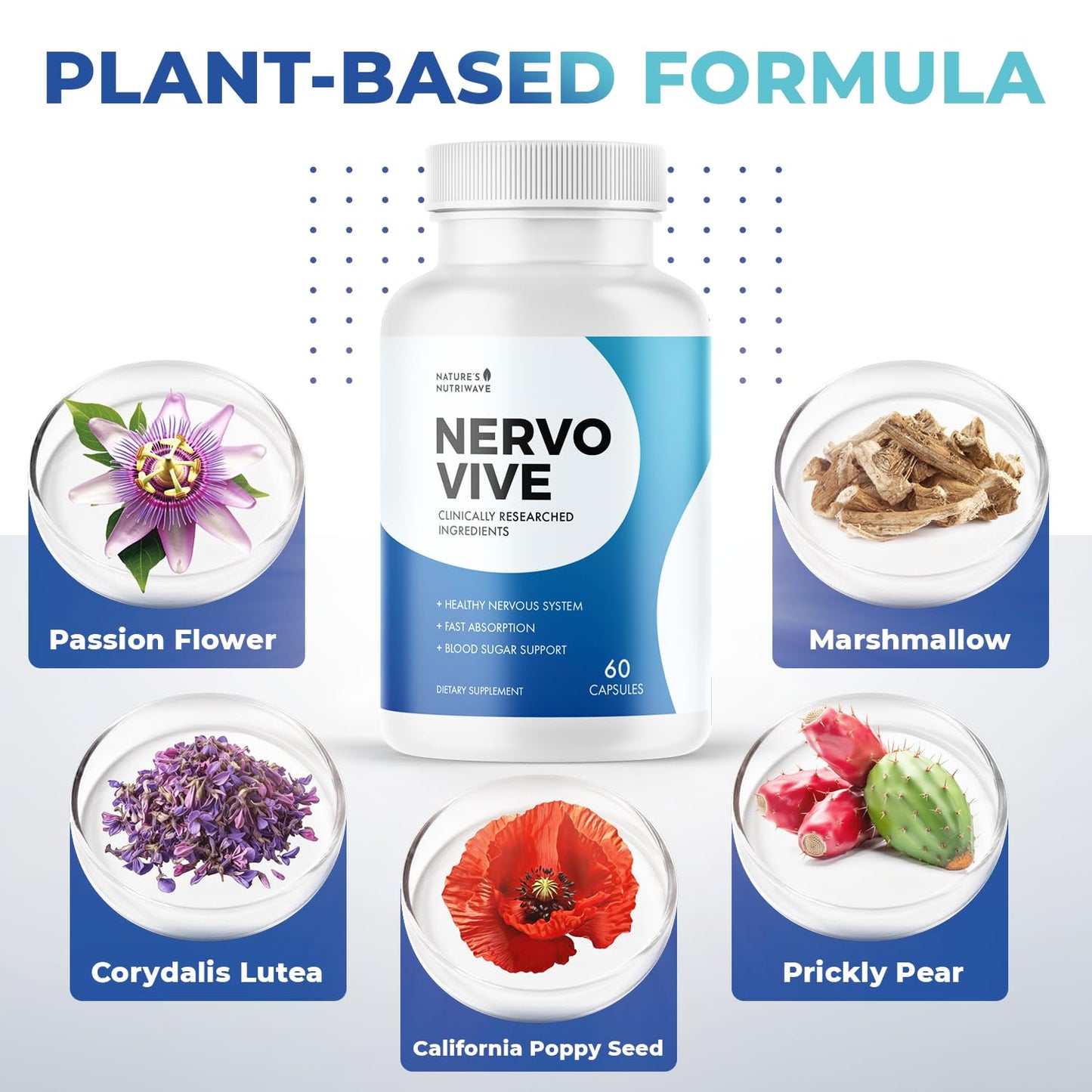 Nature’s NutriWave Nervovive Nerve Support Supplement Capsule 360 Capsules