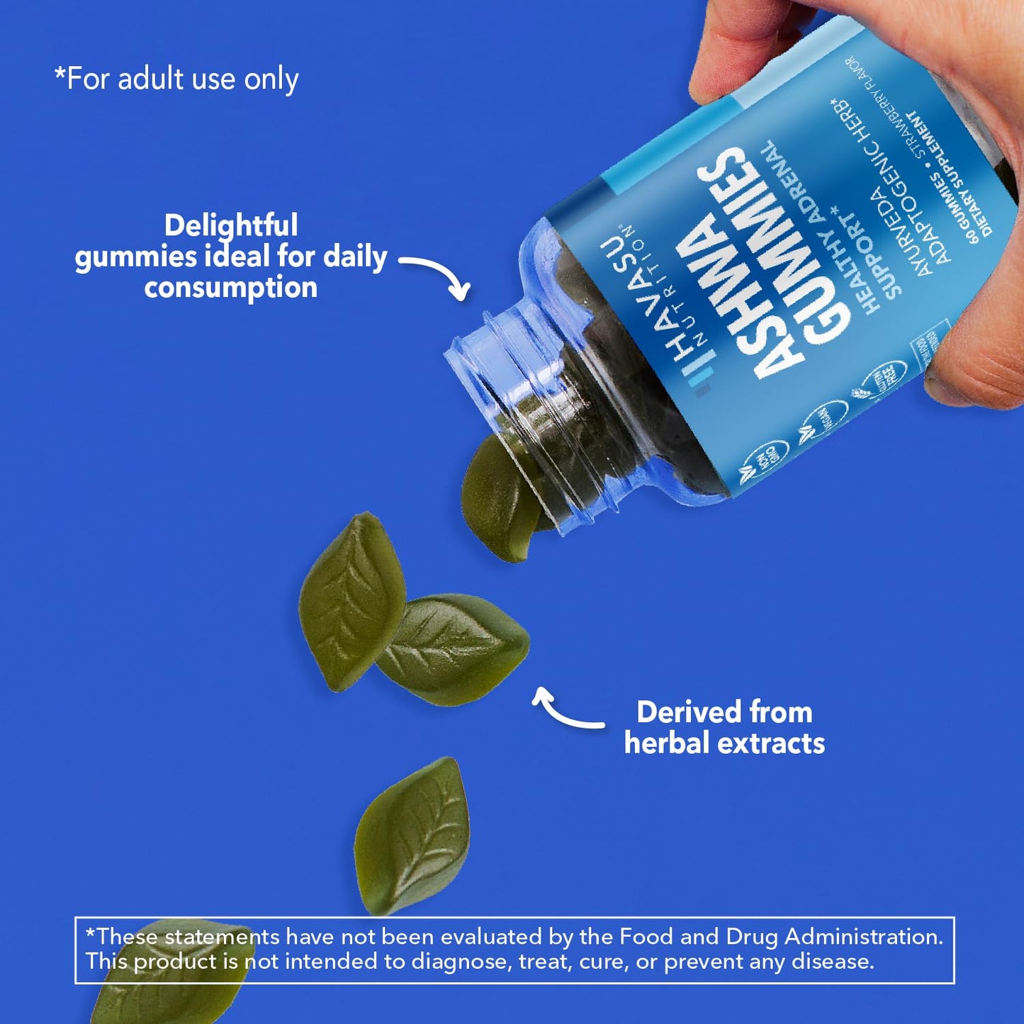 HAVASU NUTRITION Ashwagandha Gummies for Stress & Mood Support 60 Gummies