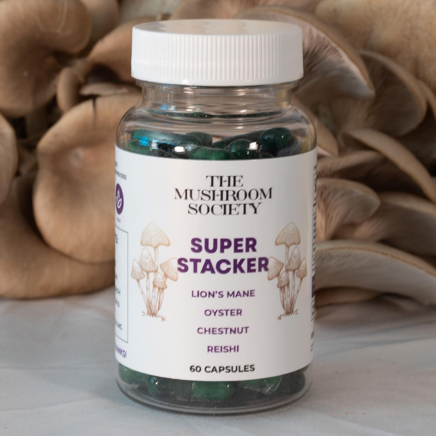 The Mushroom Society Super Stacker - 4-in-1 Mushroom Supplement Wellness Blend - Lion’s Mane, Oyster, Chestnut & Reishi - Immune, Focus & Daily Vitality 60 Capsules