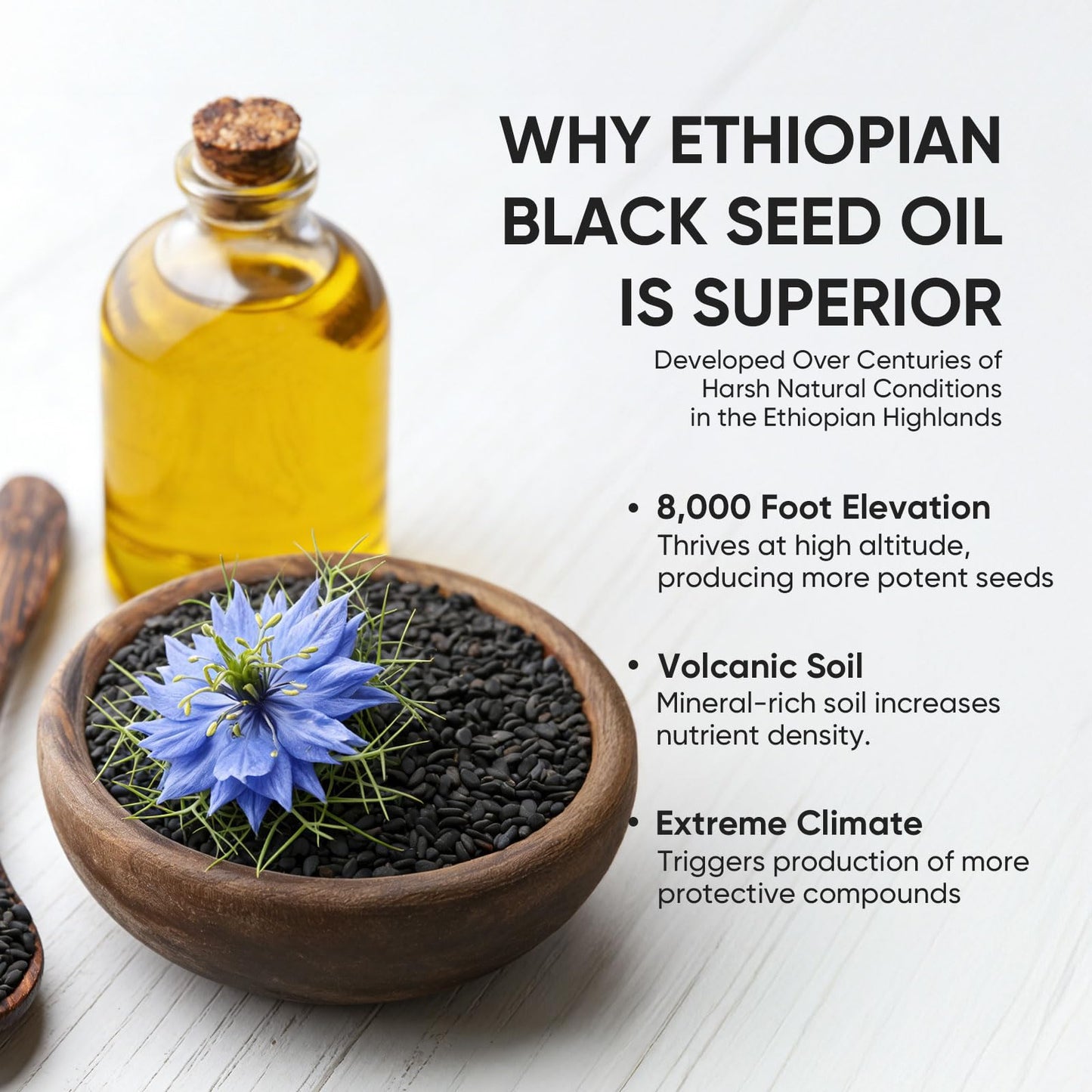 PURELYNUTRIENT Ethiopian Black Seed Oil Softgels, 60 Softgels
