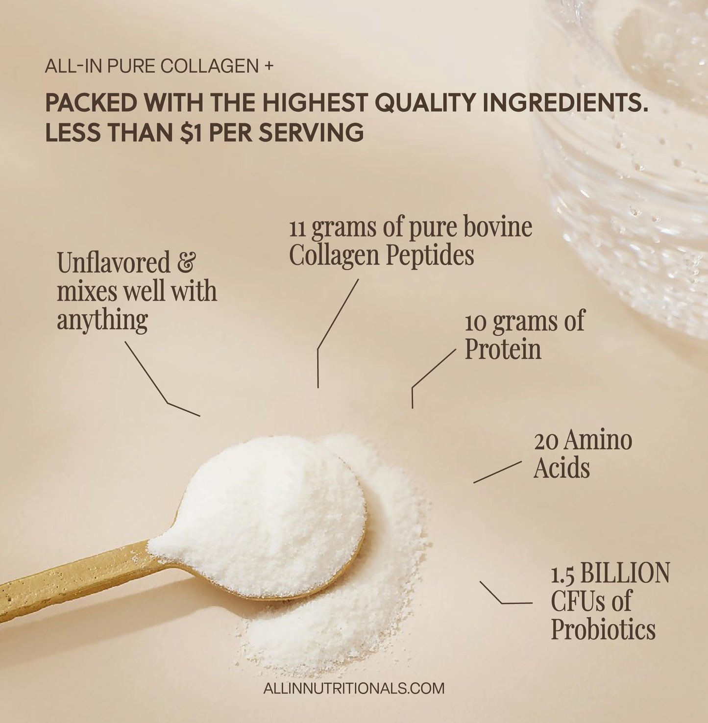 All In Nutritionals Pure Collagen + Probiotics Powder 18.1