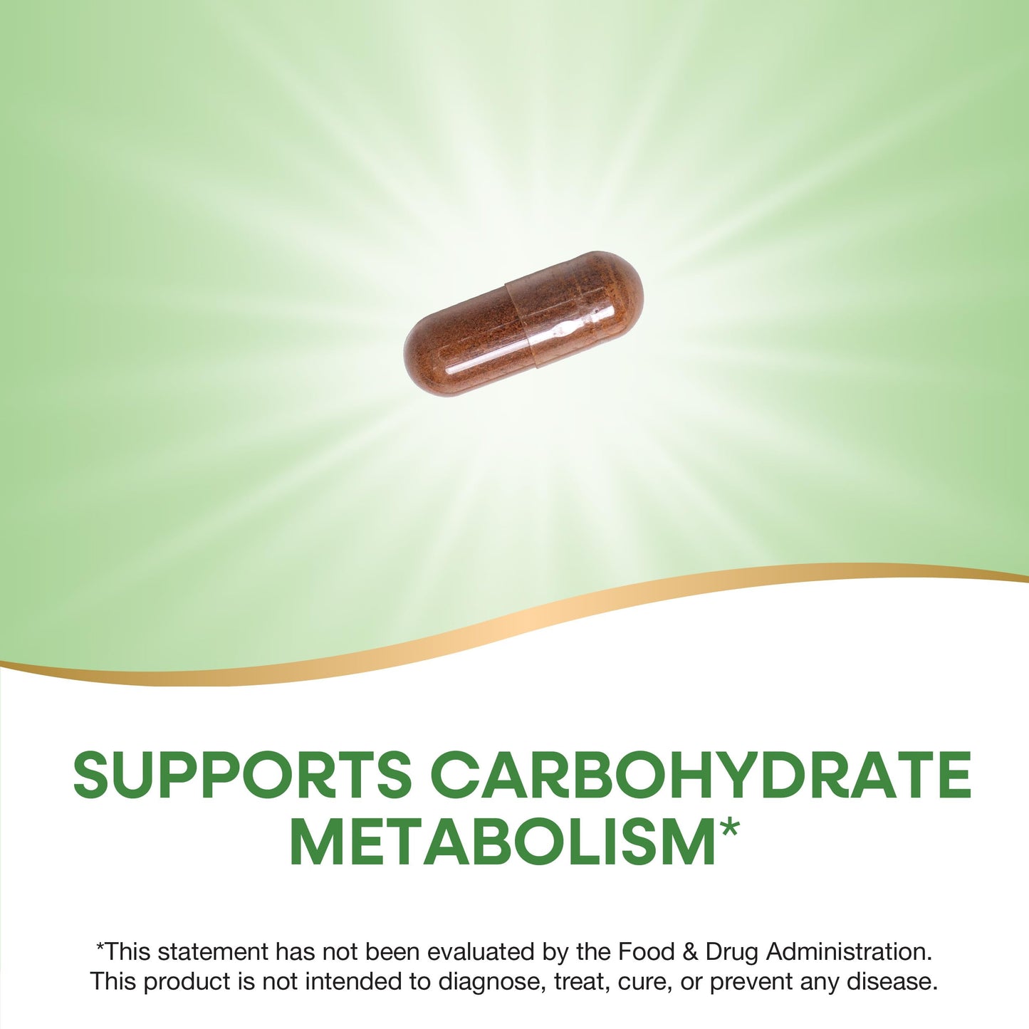 Nature's Way Cinnamon Premium Extract 120 Capsules