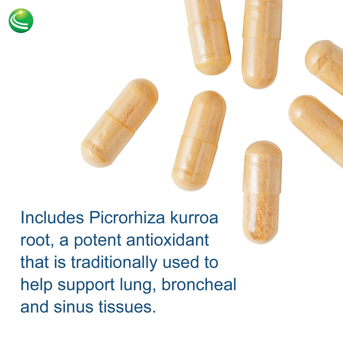 Nutra BioGenesis Pulmonary Factors NAC & Boswellia Extract Capsules, 90 Veggie Capsules