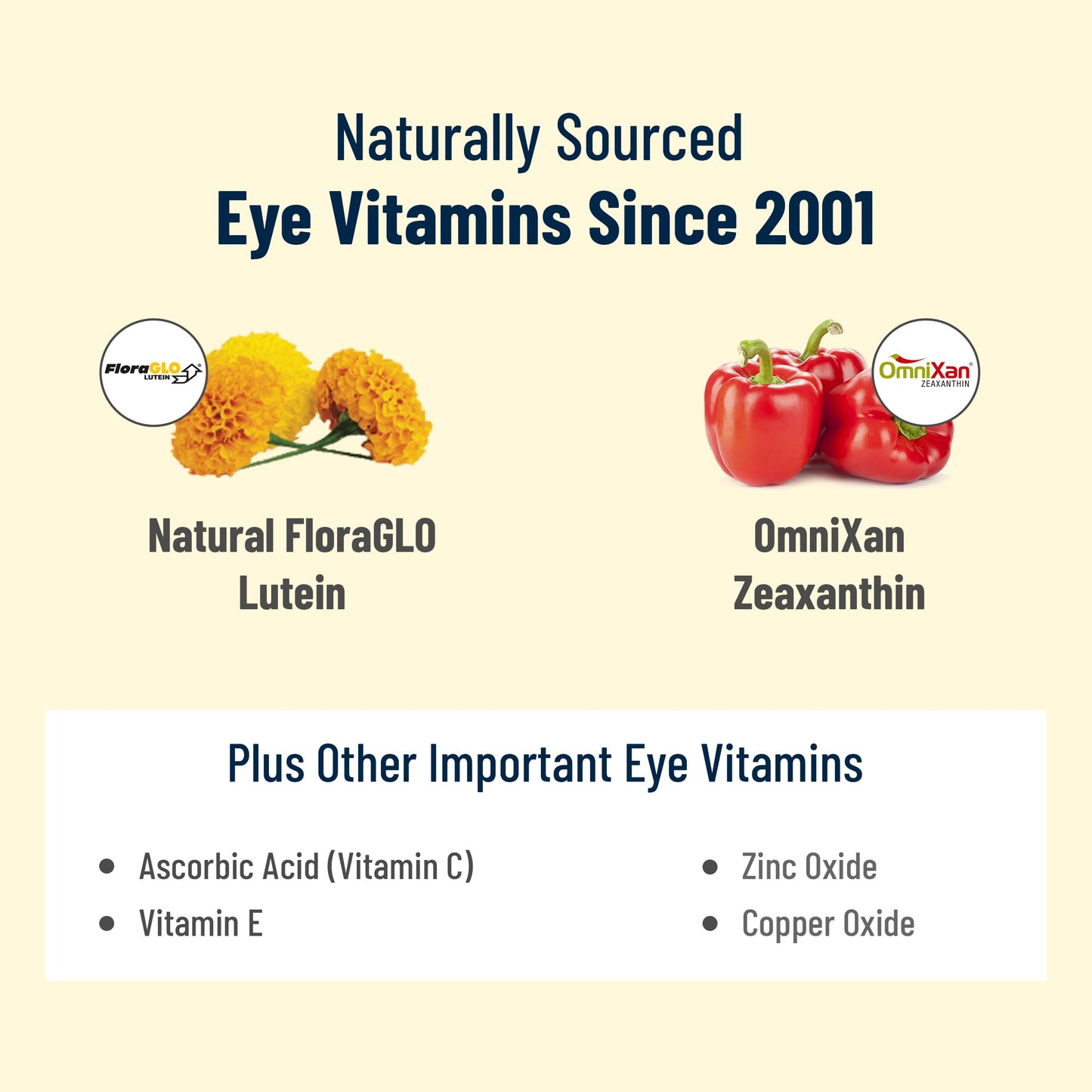 VisiVite AREDS 2 Select Eye Vitamins for Macular Support CAPSULES, 60 Capsules
