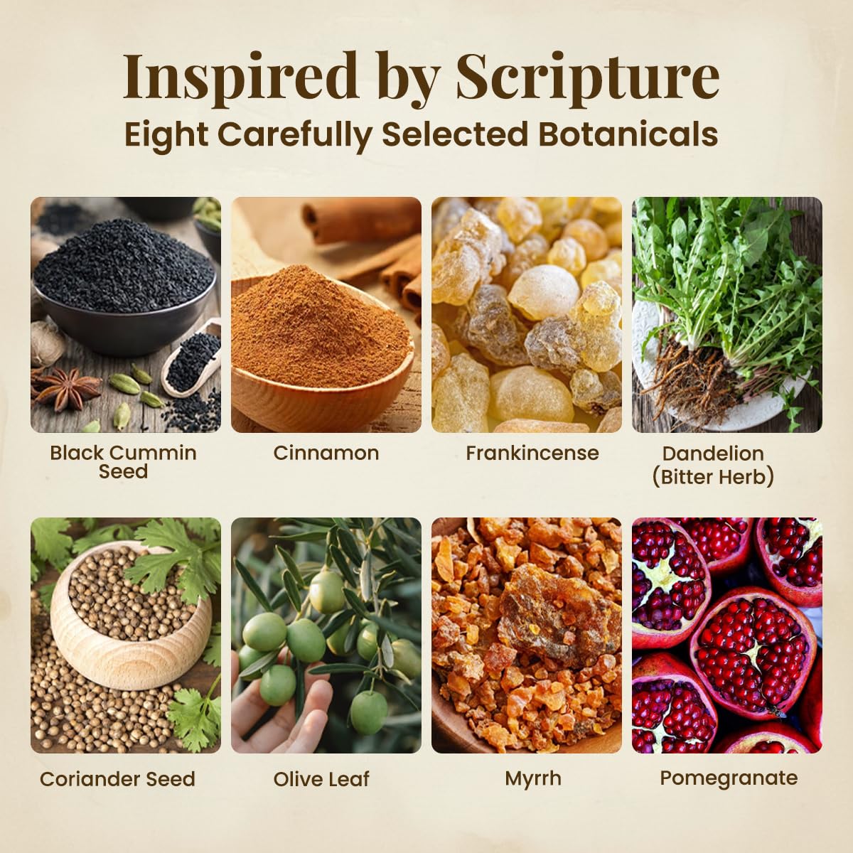 Tarsul The Bible Supplement Capsule, 60 Count