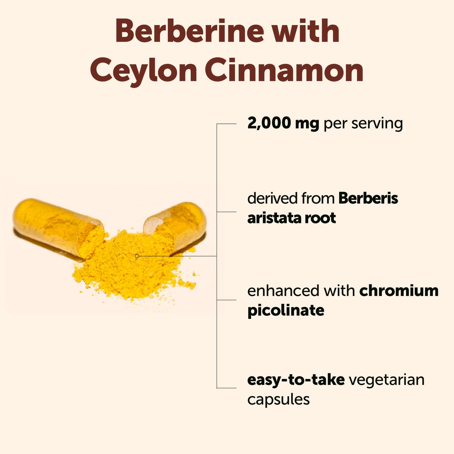 Micro Ingredients Berberine with Chromium Picolinate & Ceylon Cinnamon 2,000 mg Per Serving Capsule 240 Count