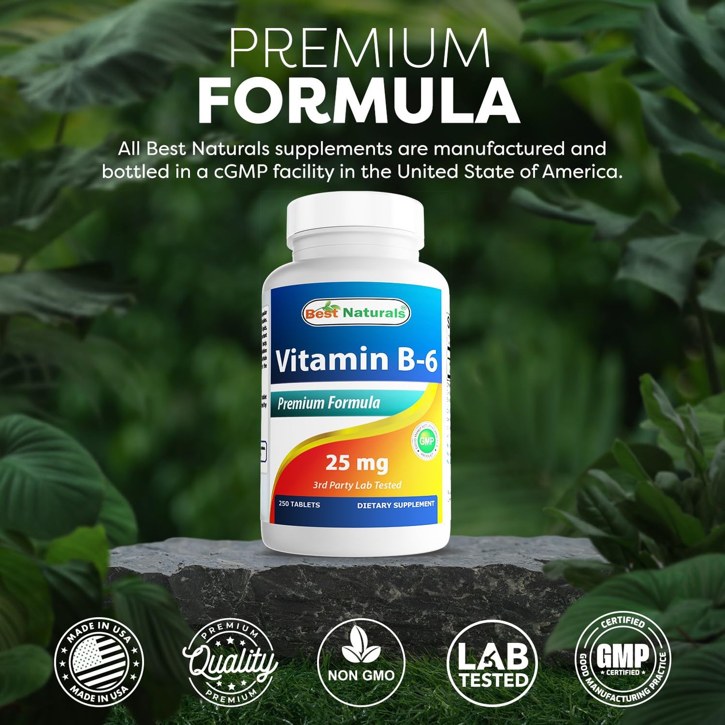 Best Naturals Vitamin B-6 25 mg Tablets, 250 Count