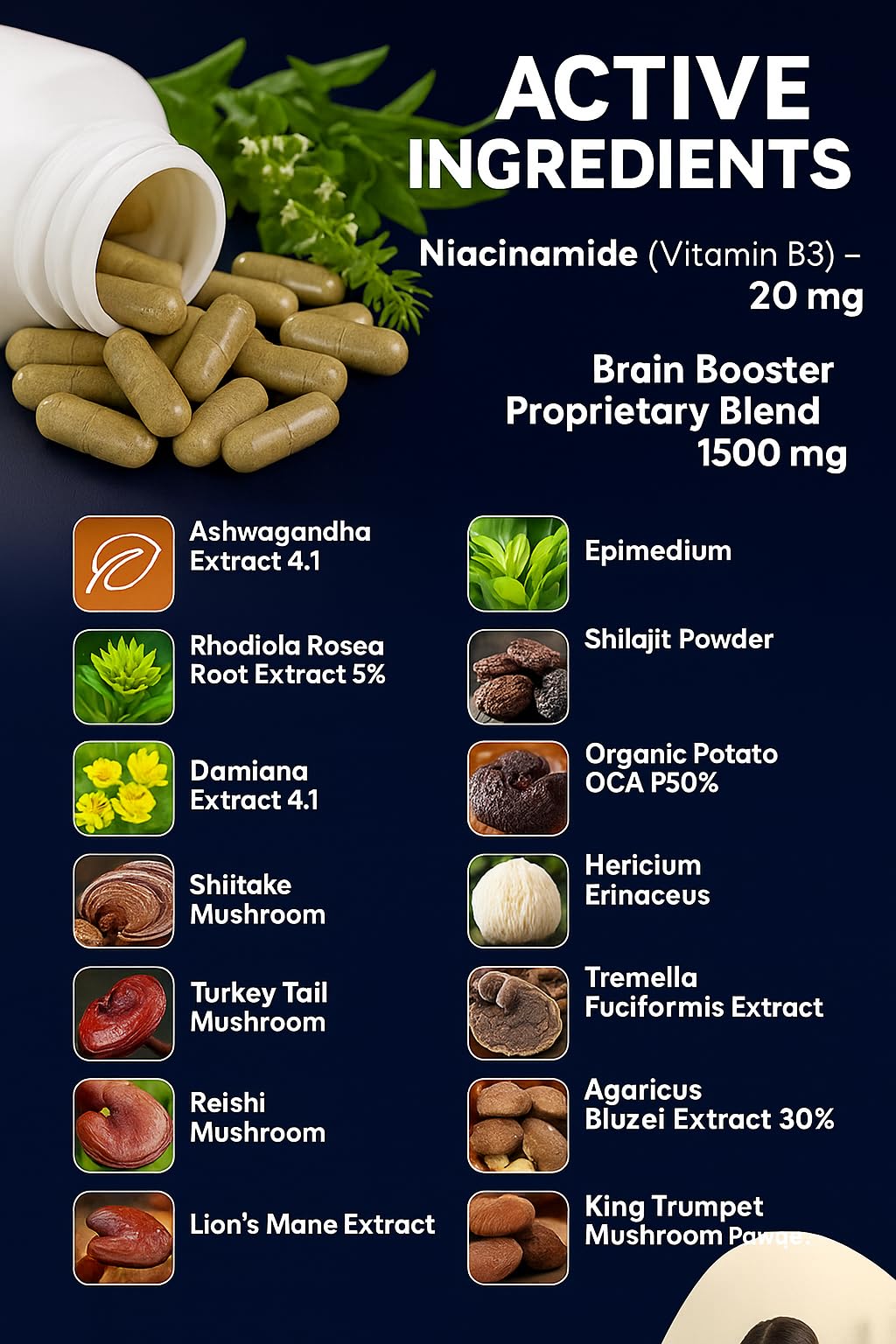 VITAMISAN Brain Booster 38 Factor Capsules, 90 Count