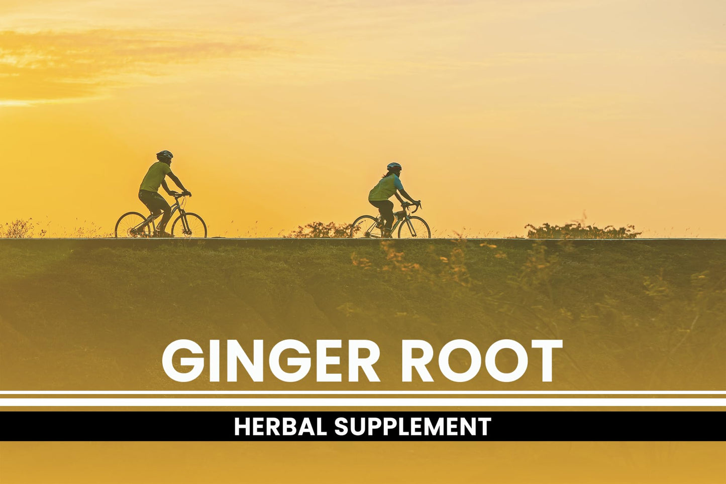 PURE ORIGINAL INGREDIENTS Ginger Root Capsules, 365 Count