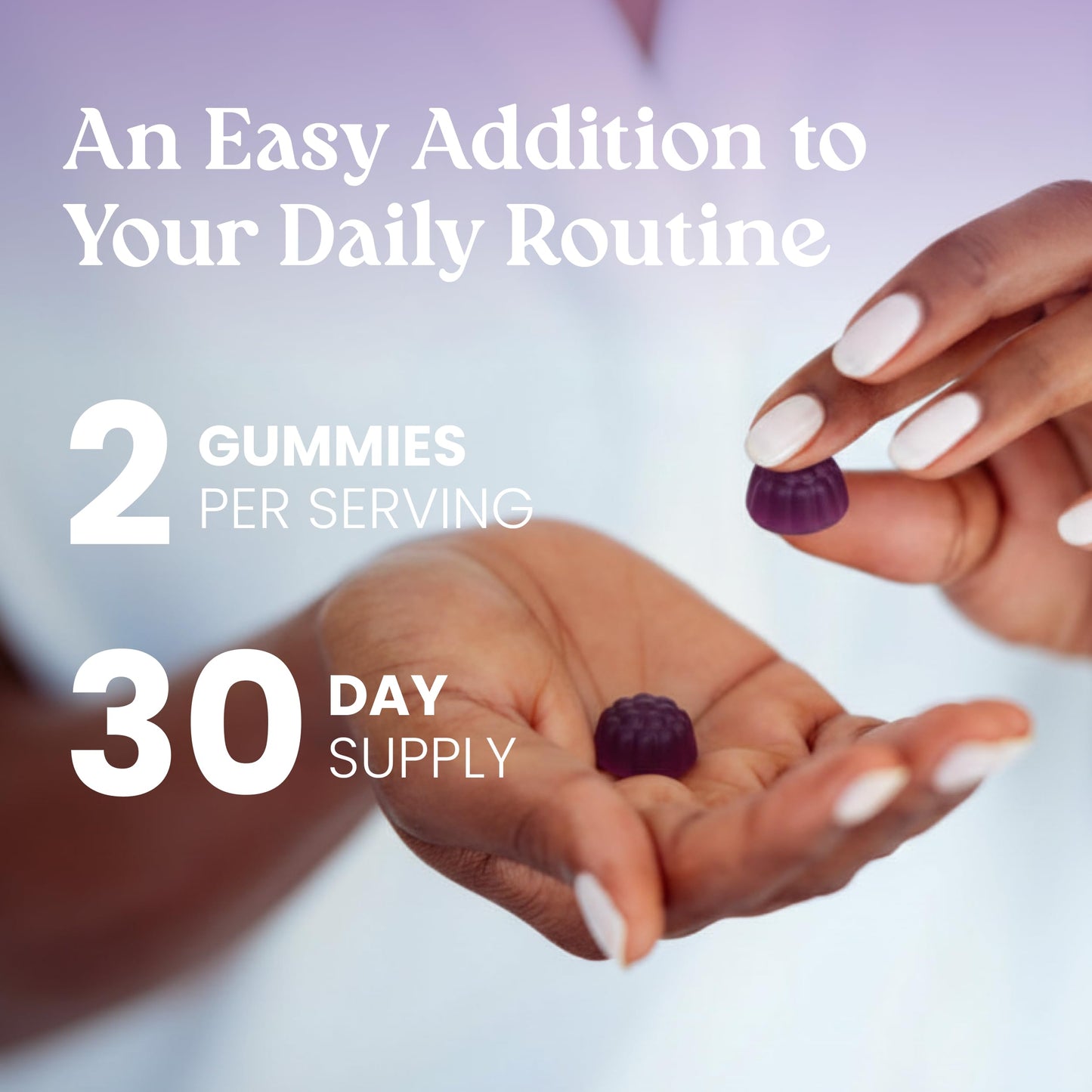 VITA GLOBE Elderberry Gummies with Vitamin C, Zinc, Immune Support Vegan, 60 Gummies