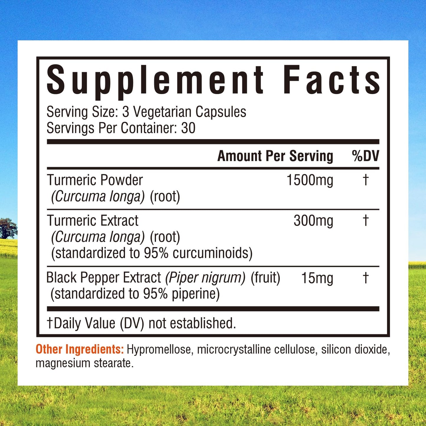 Innate Vitality Turmeric Curcumin Supplement 1800mg with Black Pepper 95% Curcuminoids Capsules 90 Count