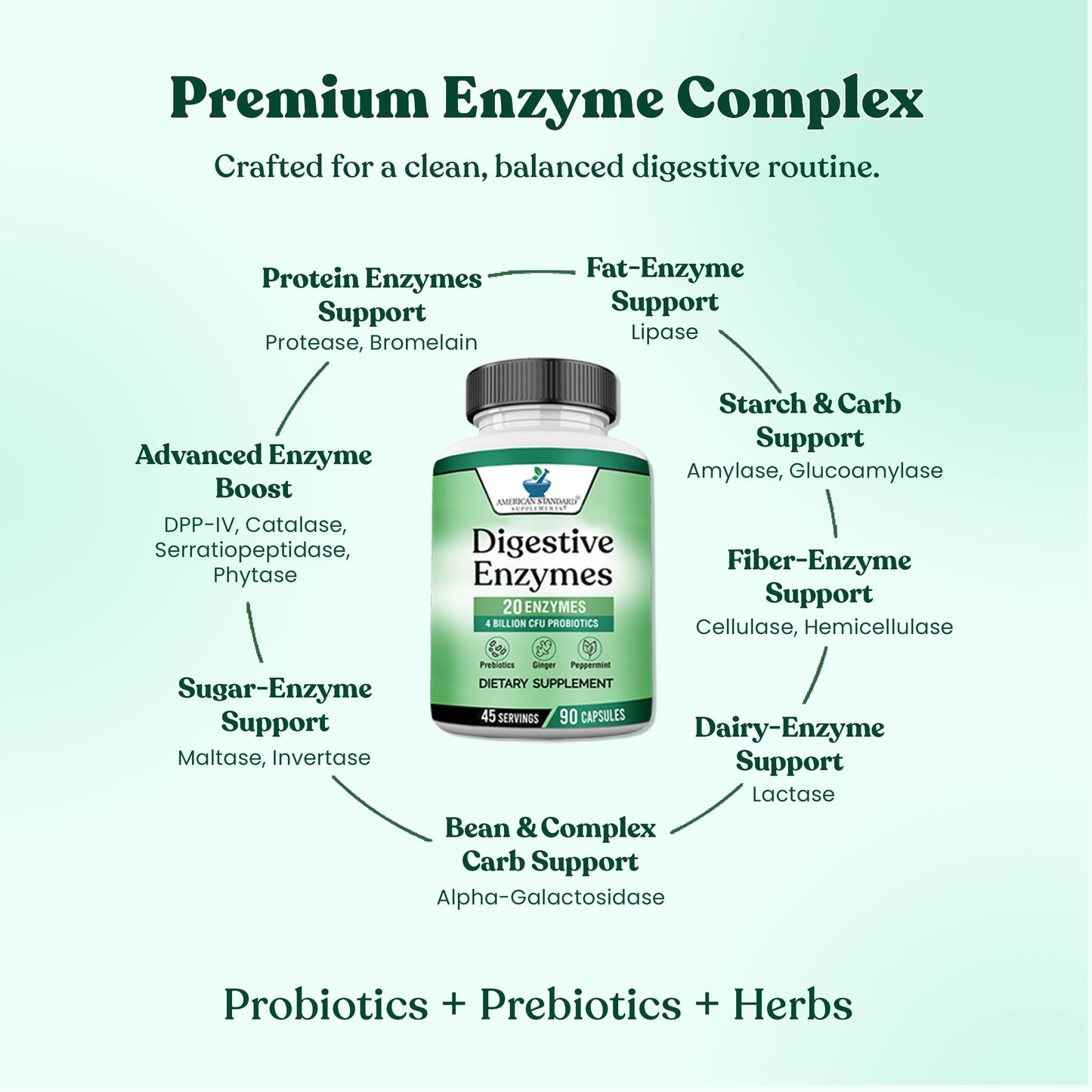 American Standard Supplements Digestive Enzymes Plus Probiotics & Prebiotics, 120 Capsules