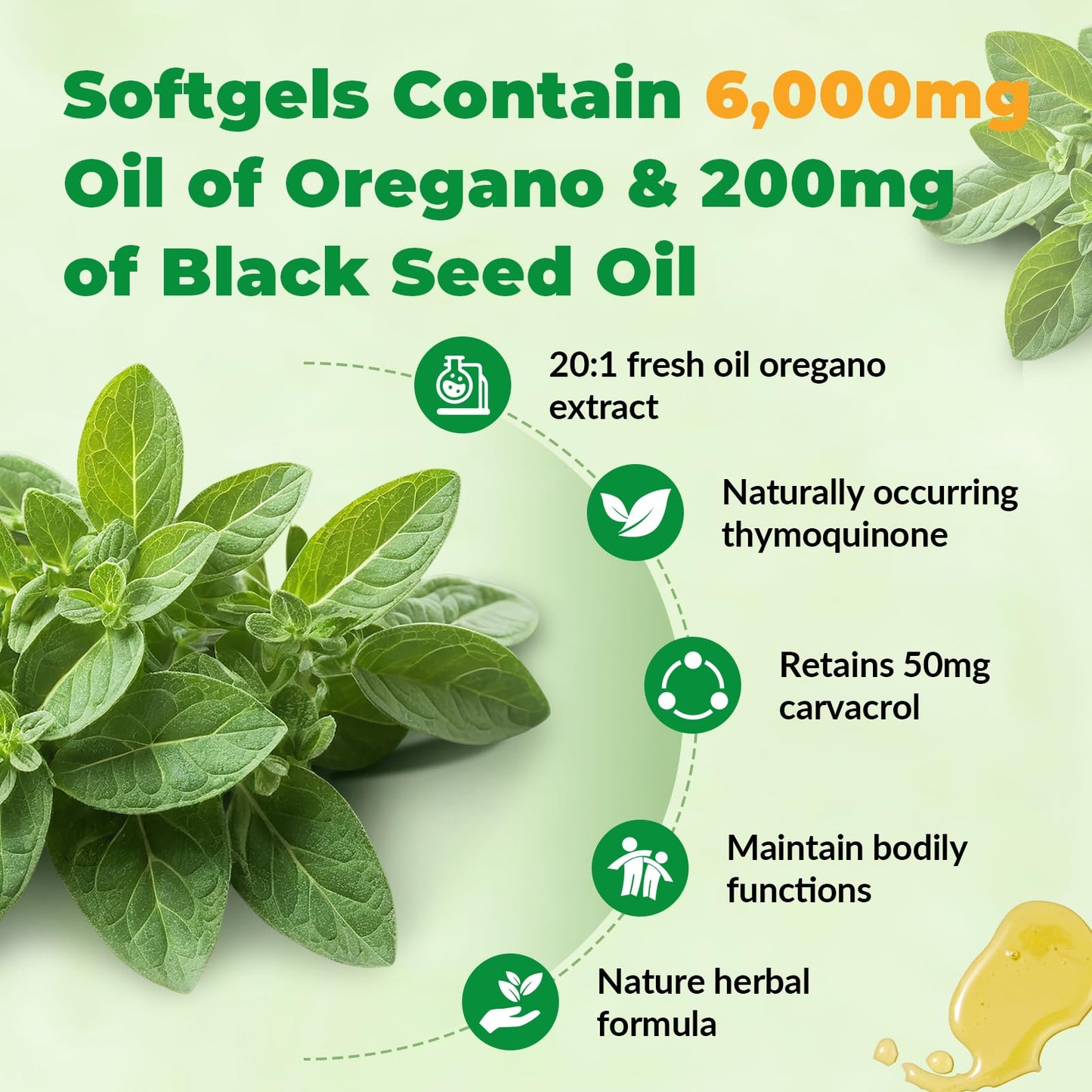 VBTOP Oregano Oil with Black Seed Oil, Vitamin C and Zinc Softgels 180