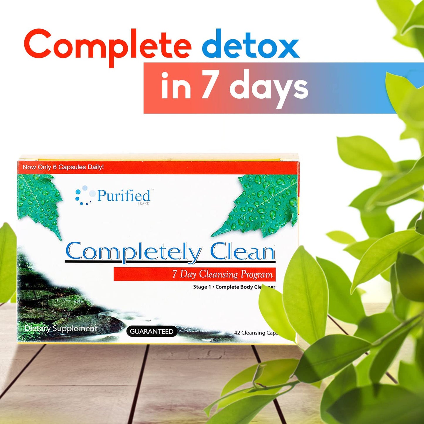 Wellgenix Omni Completely Clean 7 Day Detox, 42 Capsules