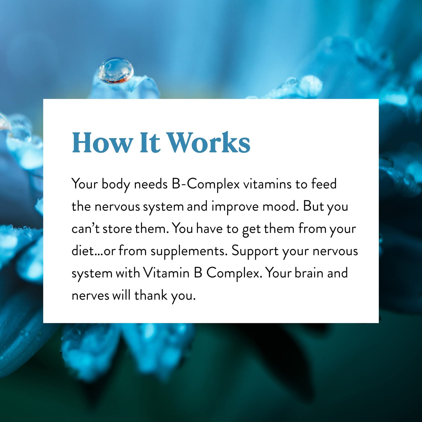 Nature's Sunshine Vitamin B-Complex Capsules 100