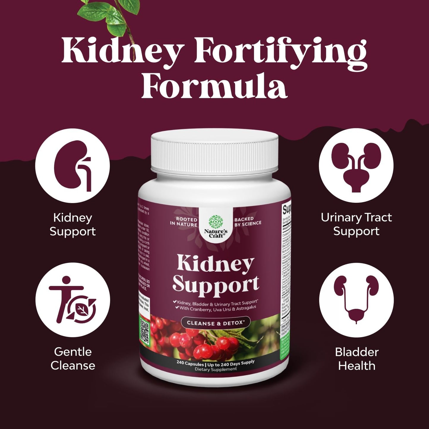 Natures Craft Advanced Kidney Cleanse Support Cranberry Supplement 240 Capsules