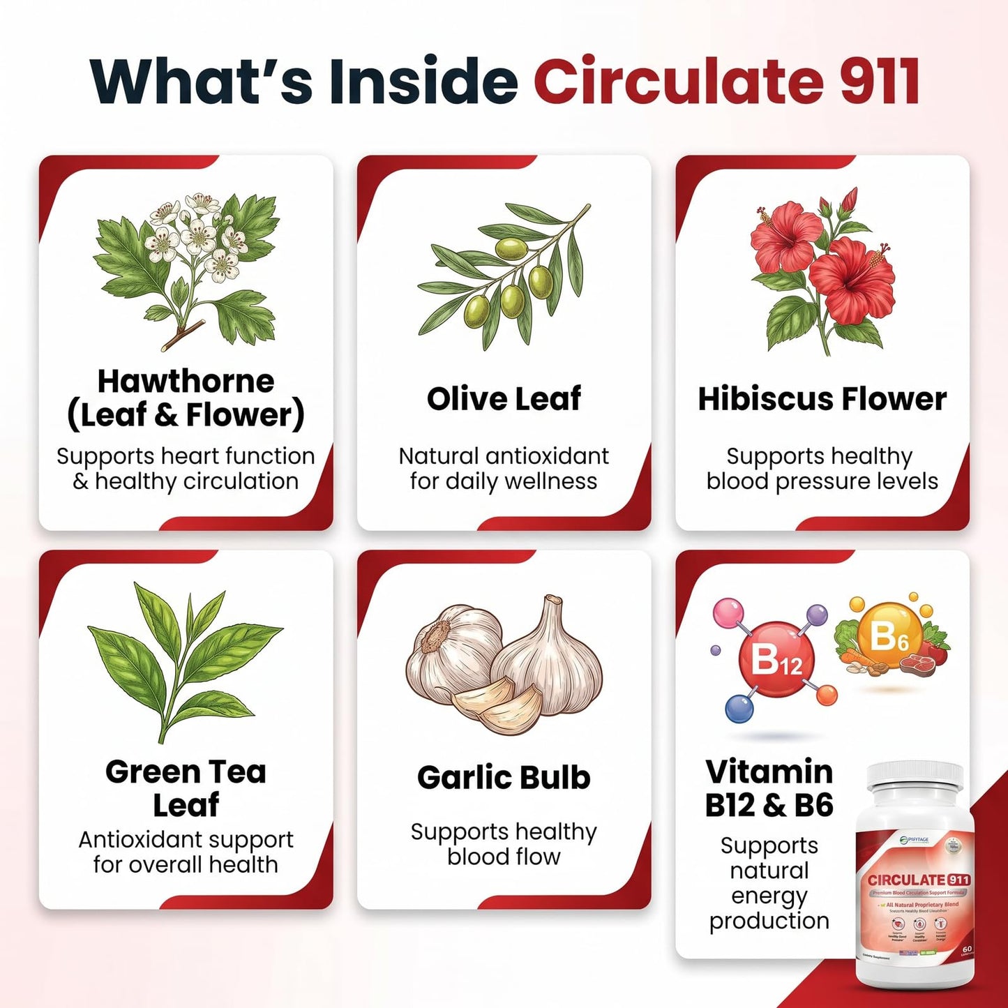 Phytage Labs Circulate 911 60 Capsules