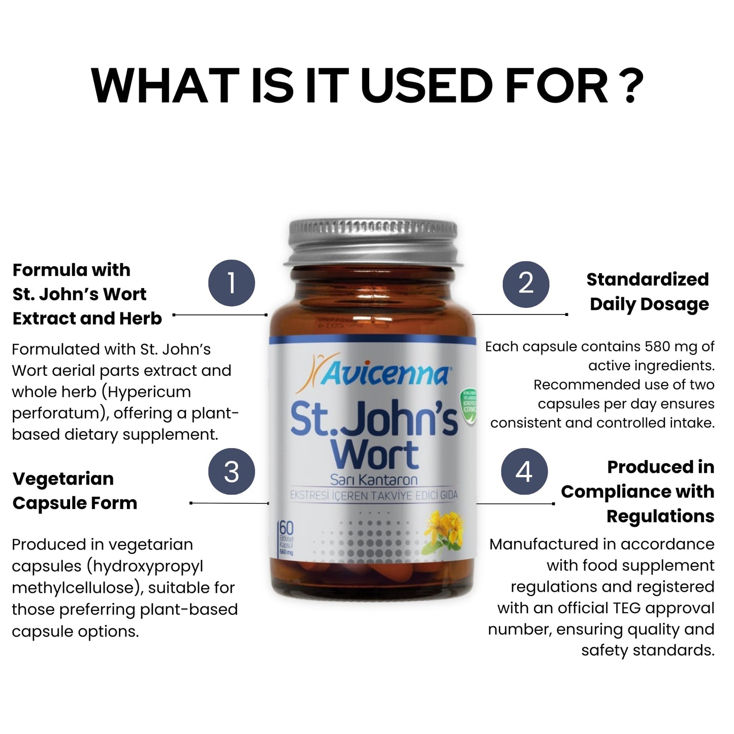Avicenna St. John’s Wort Capsule 60