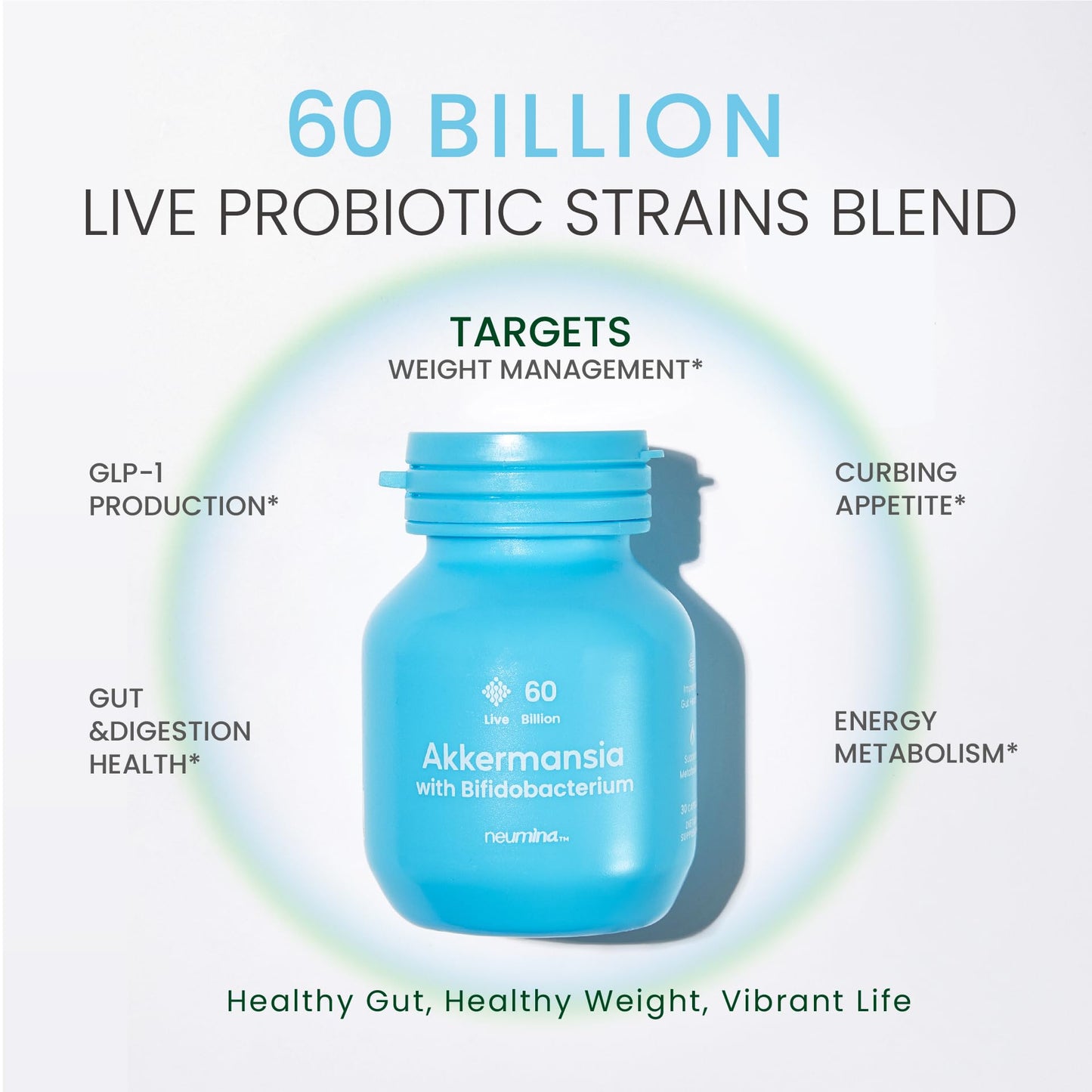 NEUMINA Akkermansia Muciniphila 60 Billion with Rhodiola and Bifidobacterium Probiotic Capsules, 30 Capsules